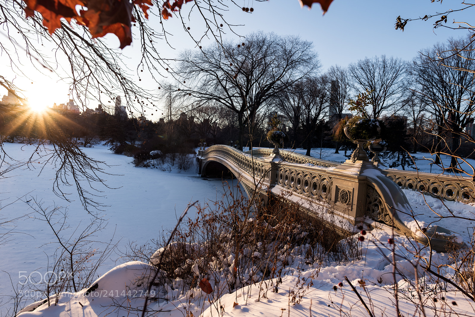 Nikon D850 sample photo. Central park during bomb photography