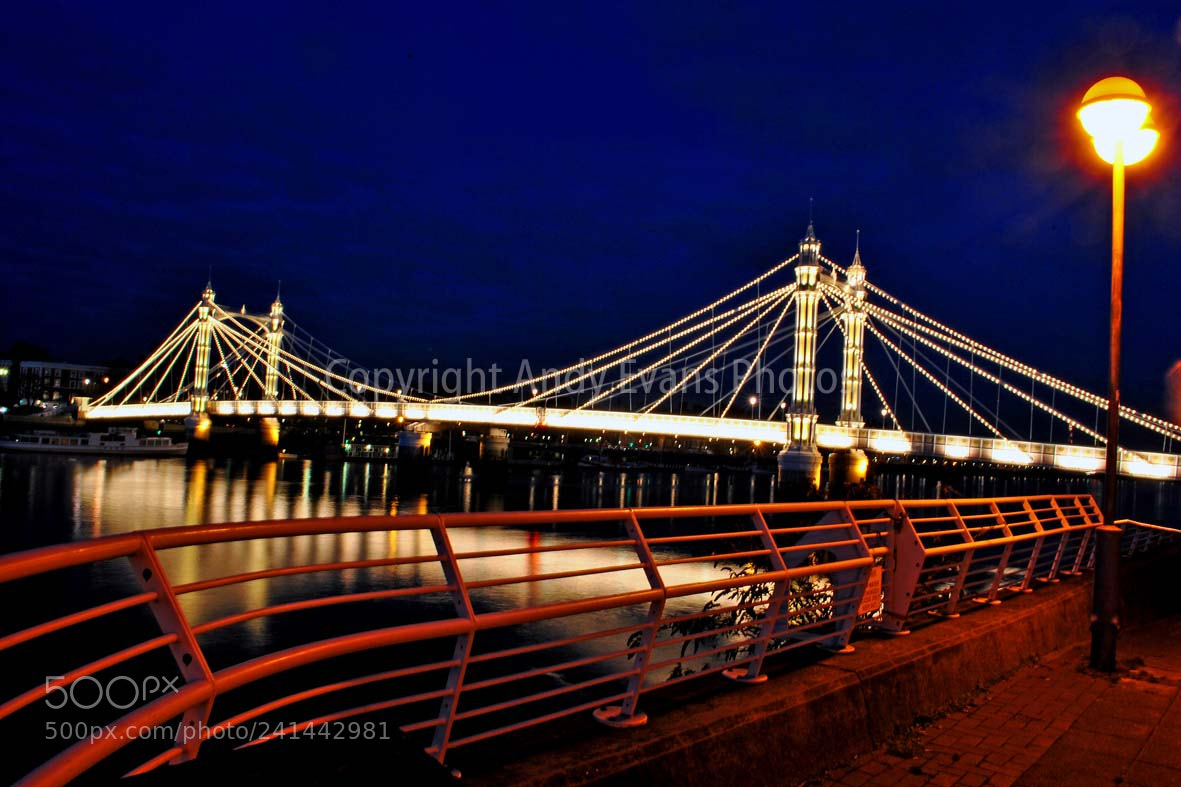 Nikon D3000 sample photo. Albert bridge and the photography