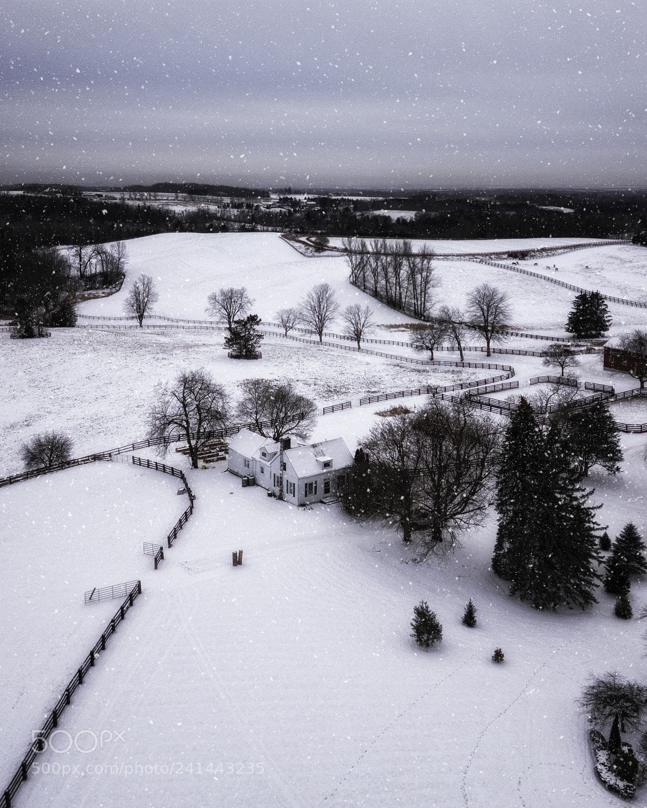 DJI FC220 sample photo. Let it snow photography