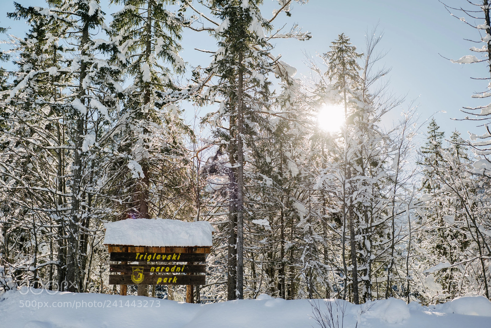 Nikon D600 sample photo. Triglav national park photography