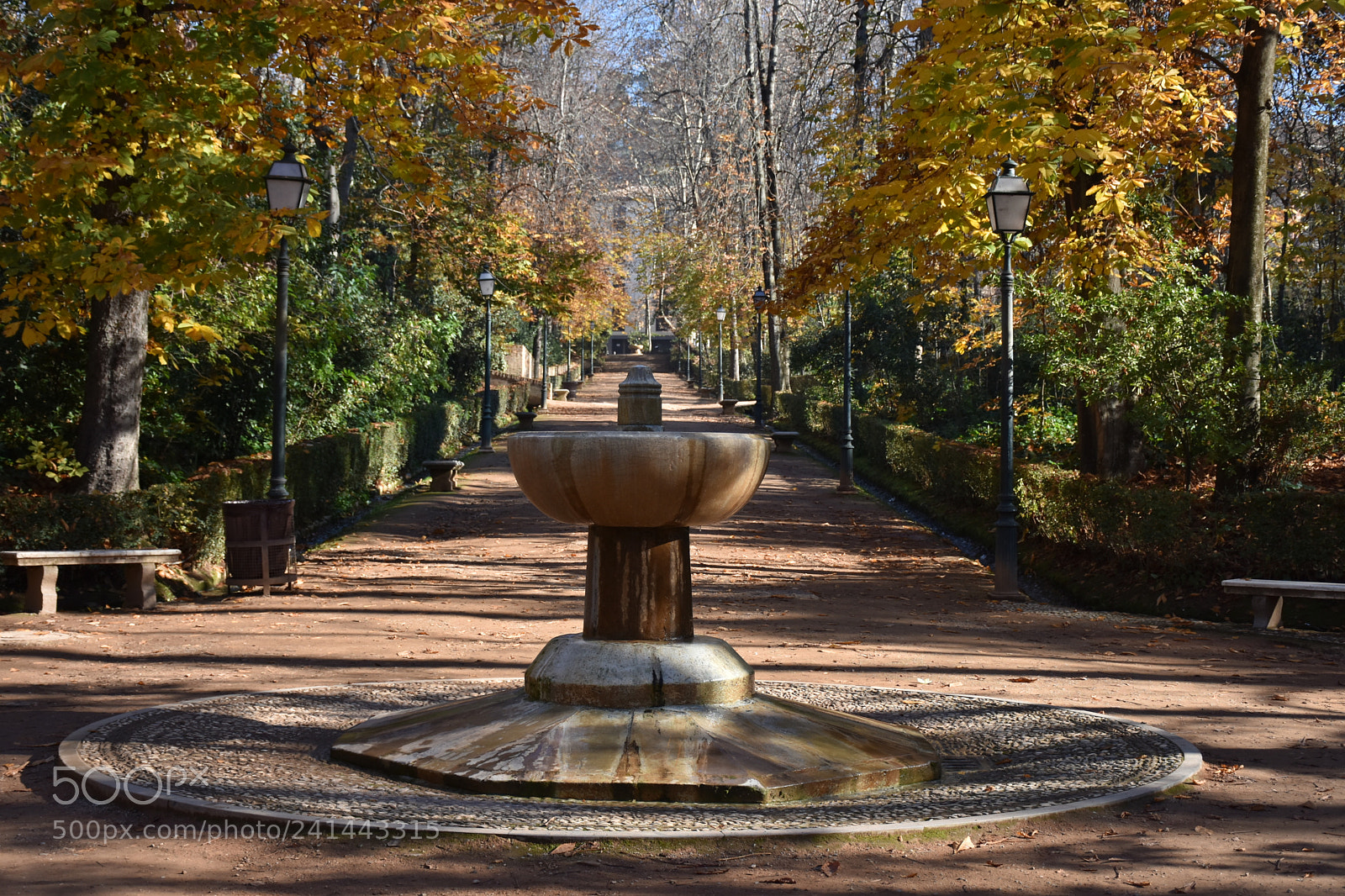 Nikon D7200 sample photo. Source granda photography
