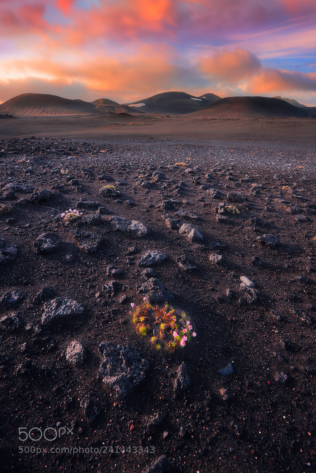 Canon EOS-1Ds Mark III sample photo. Into the desert photography