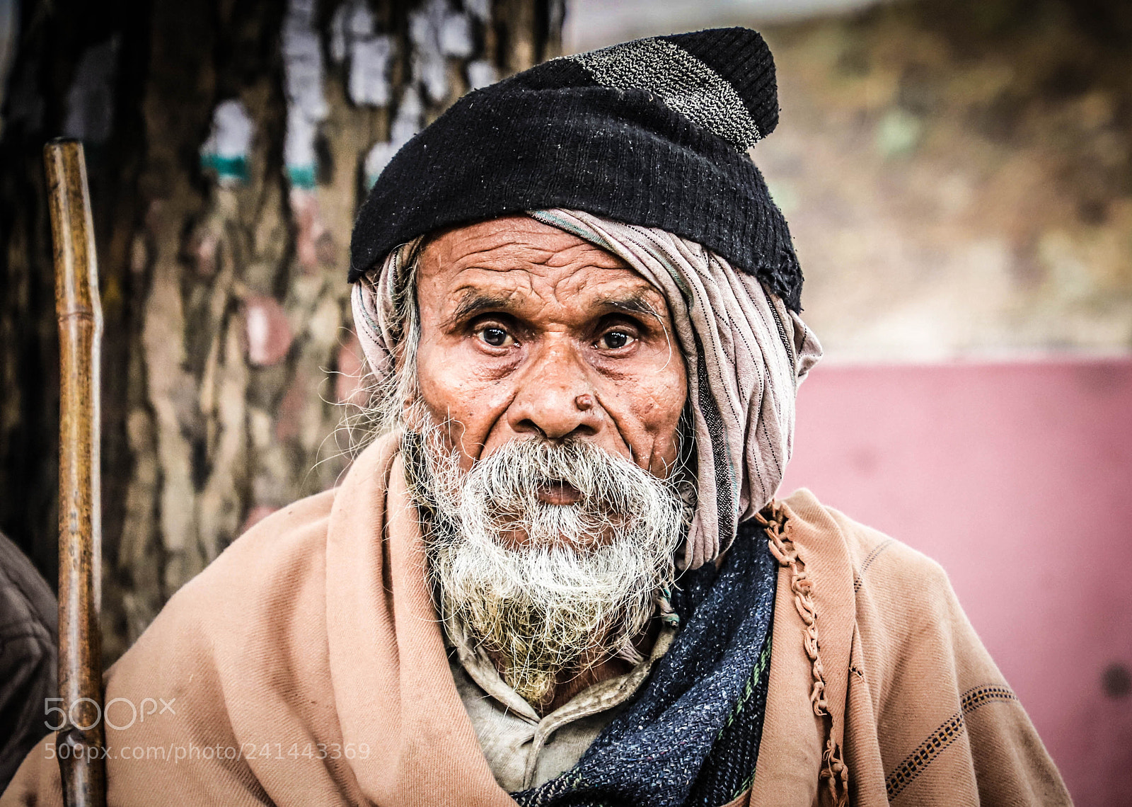 Canon EOS 6D Mark II sample photo. Winters photography