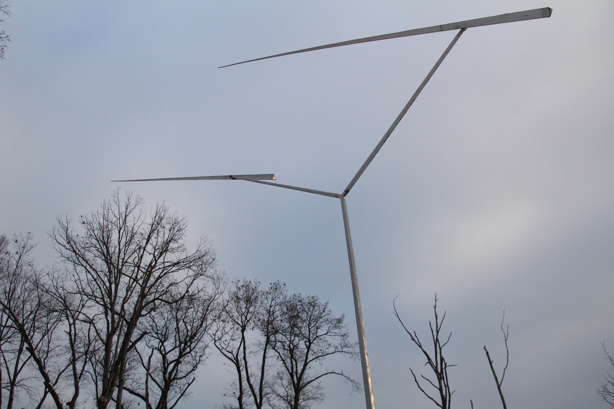 Canon EOS 1200D (EOS Rebel T5 / EOS Kiss X70 / EOS Hi) sample photo. Branches and wind ornament. 分支和風裝飾。 枝と風の飾り。 photography