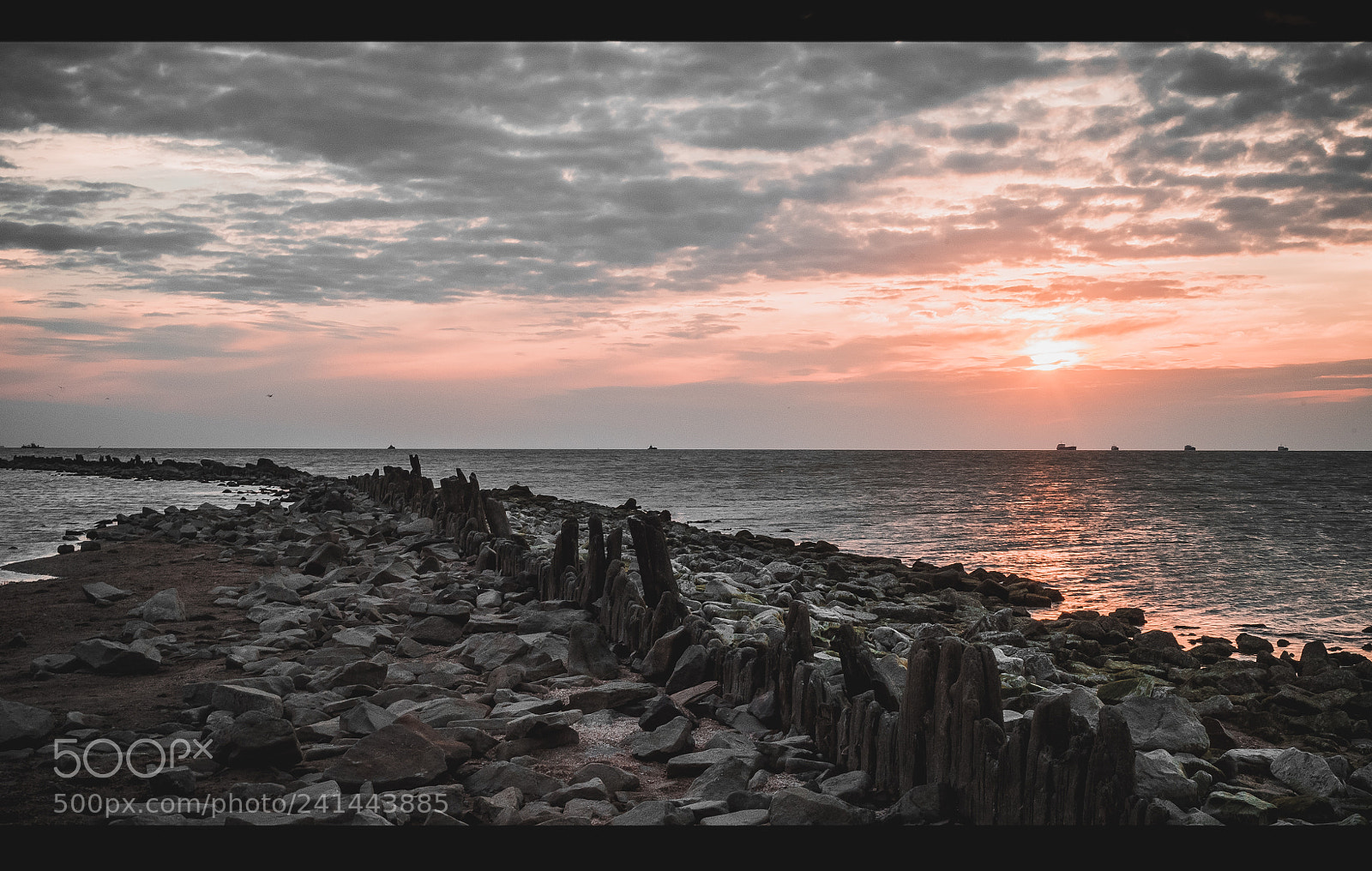 Sony a7S sample photo. #0026 photography