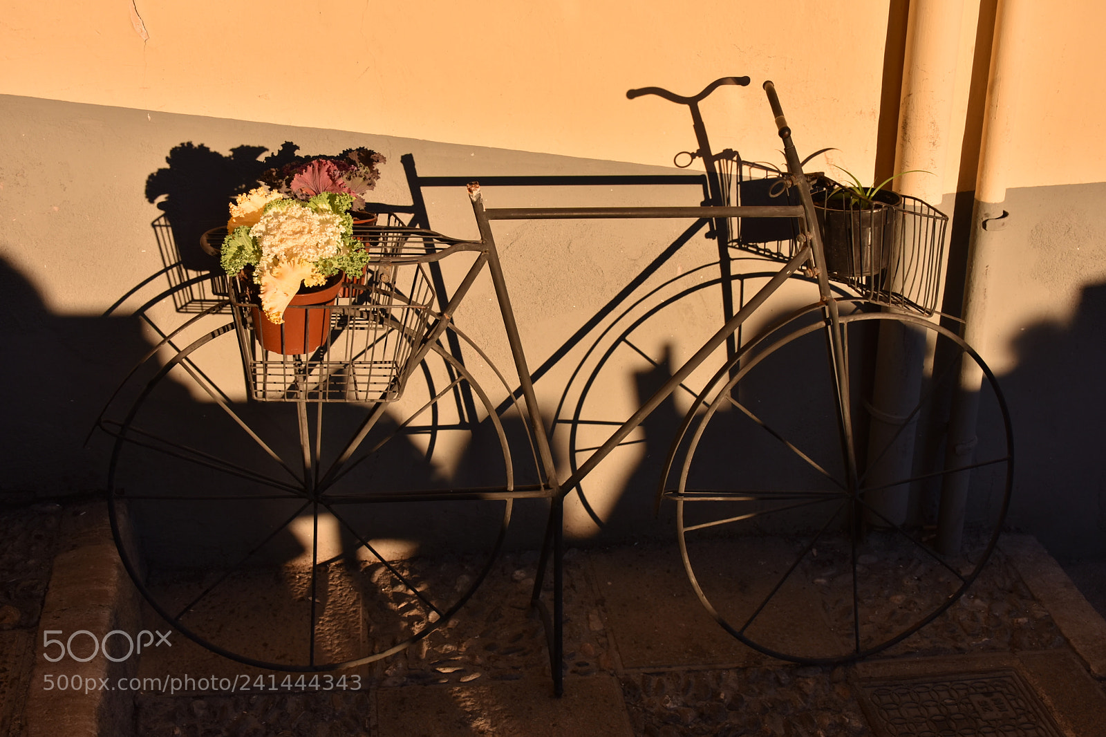 Nikon D7200 sample photo. Classic bike photography