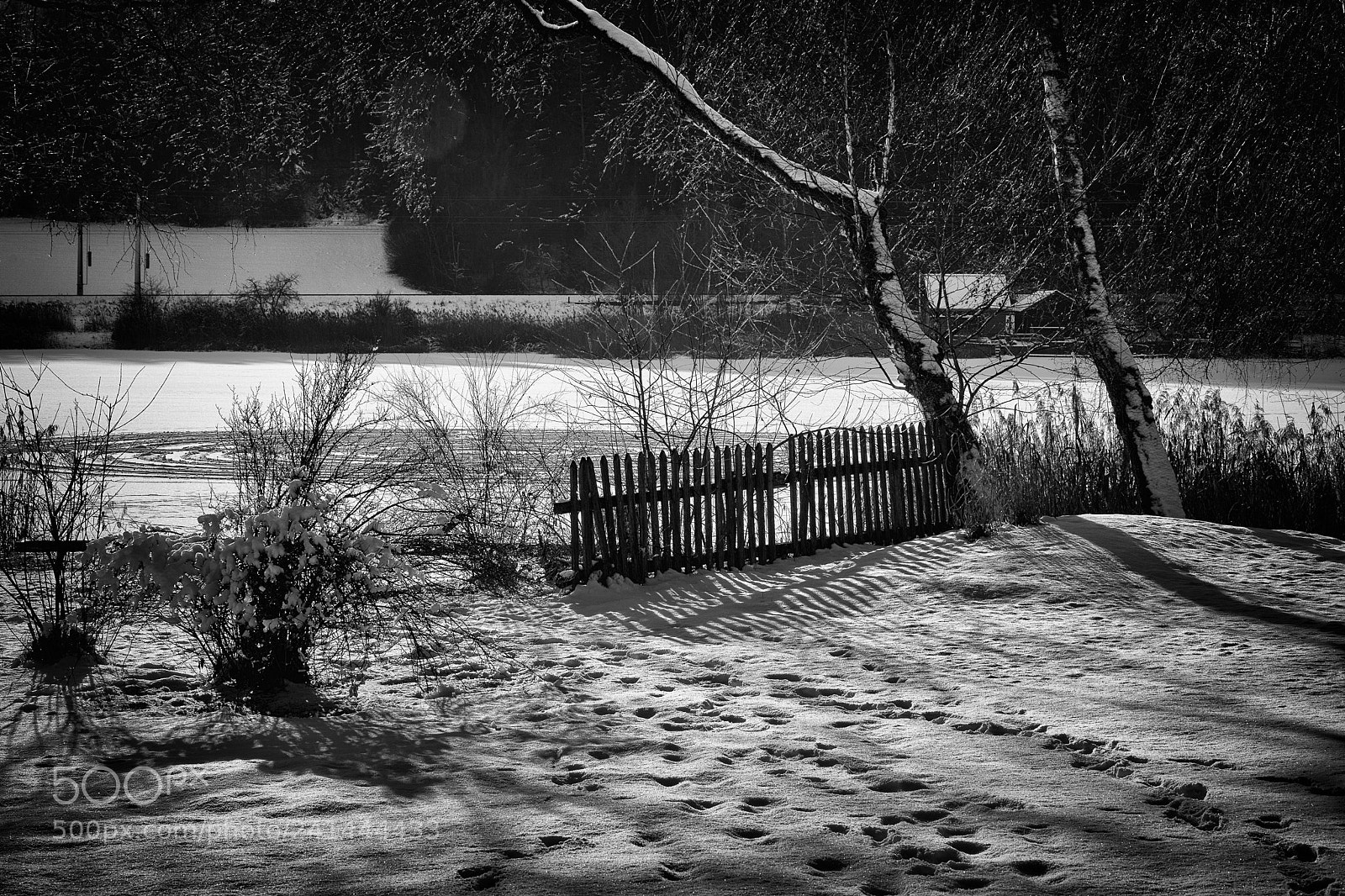 Sony a7 sample photo. Tracks in the snow photography