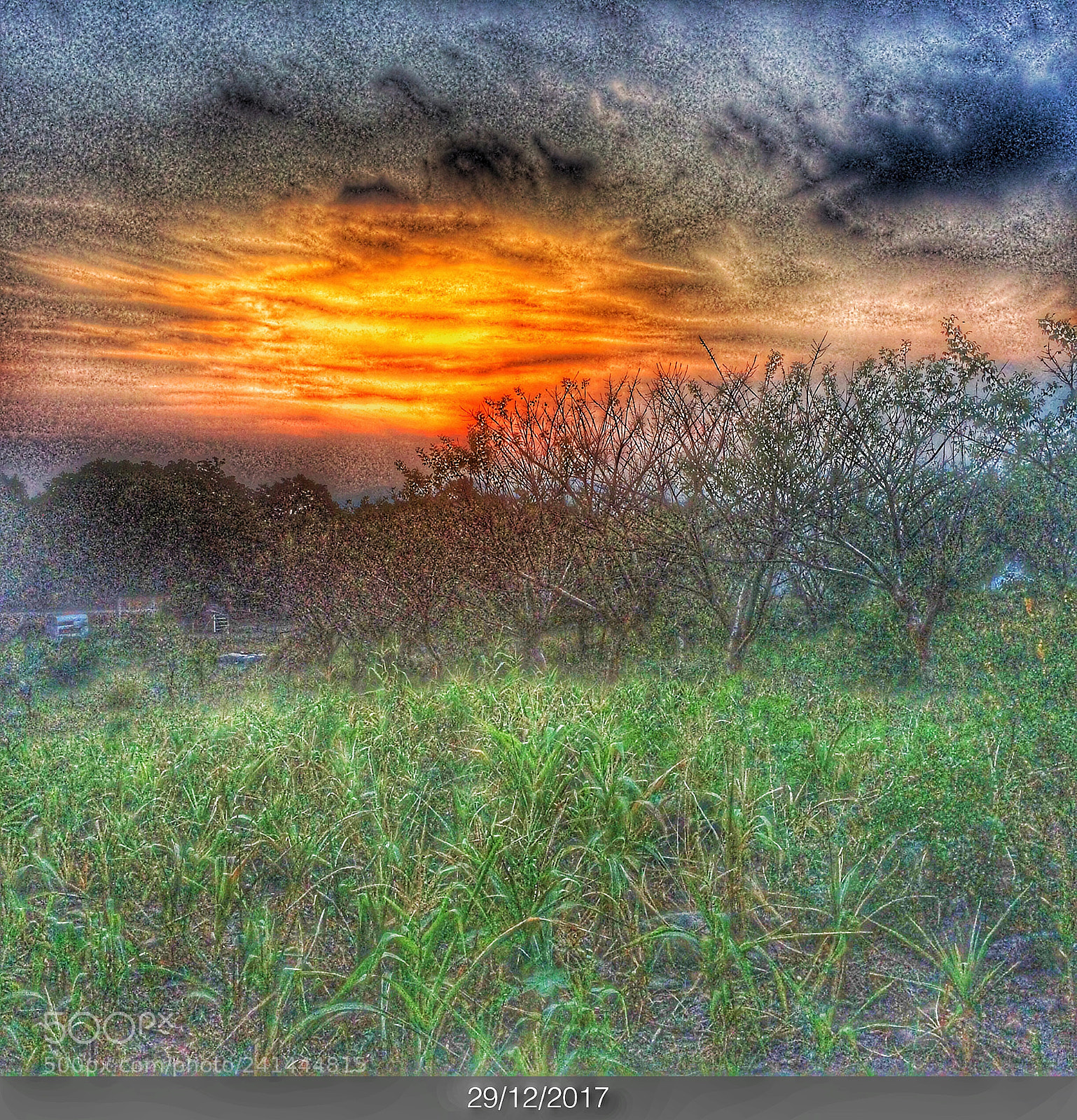 Apple iPhone 5s sample photo. Untitled photography
