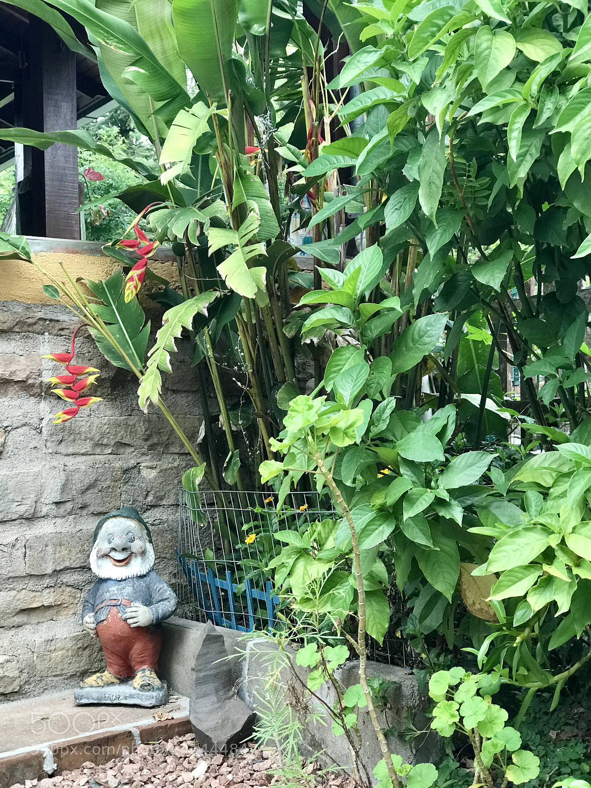 Apple iPhone 7 Plus sample photo. Gnome in the garden... photography