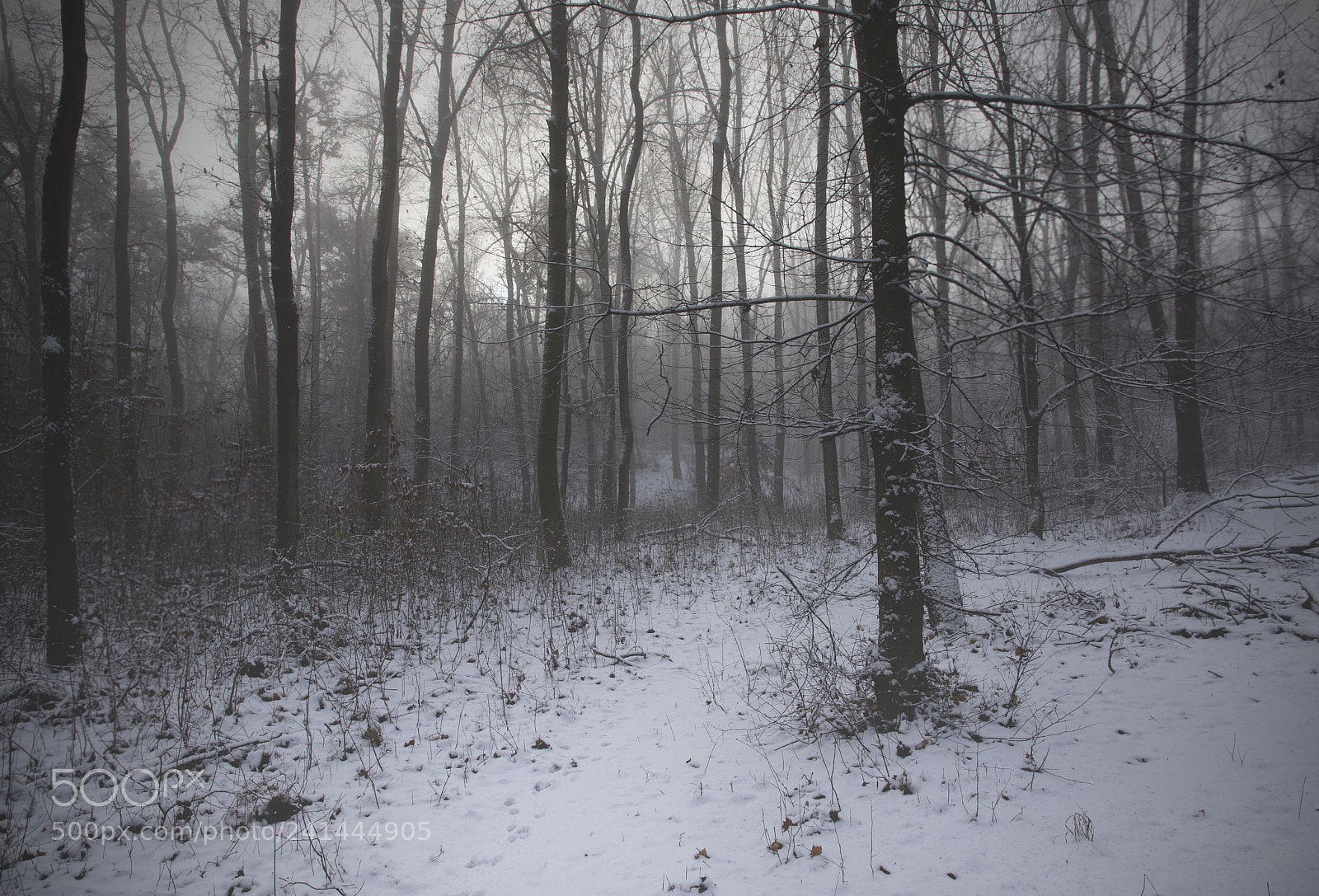 Nikon D7200 sample photo. Mistery pécel photography