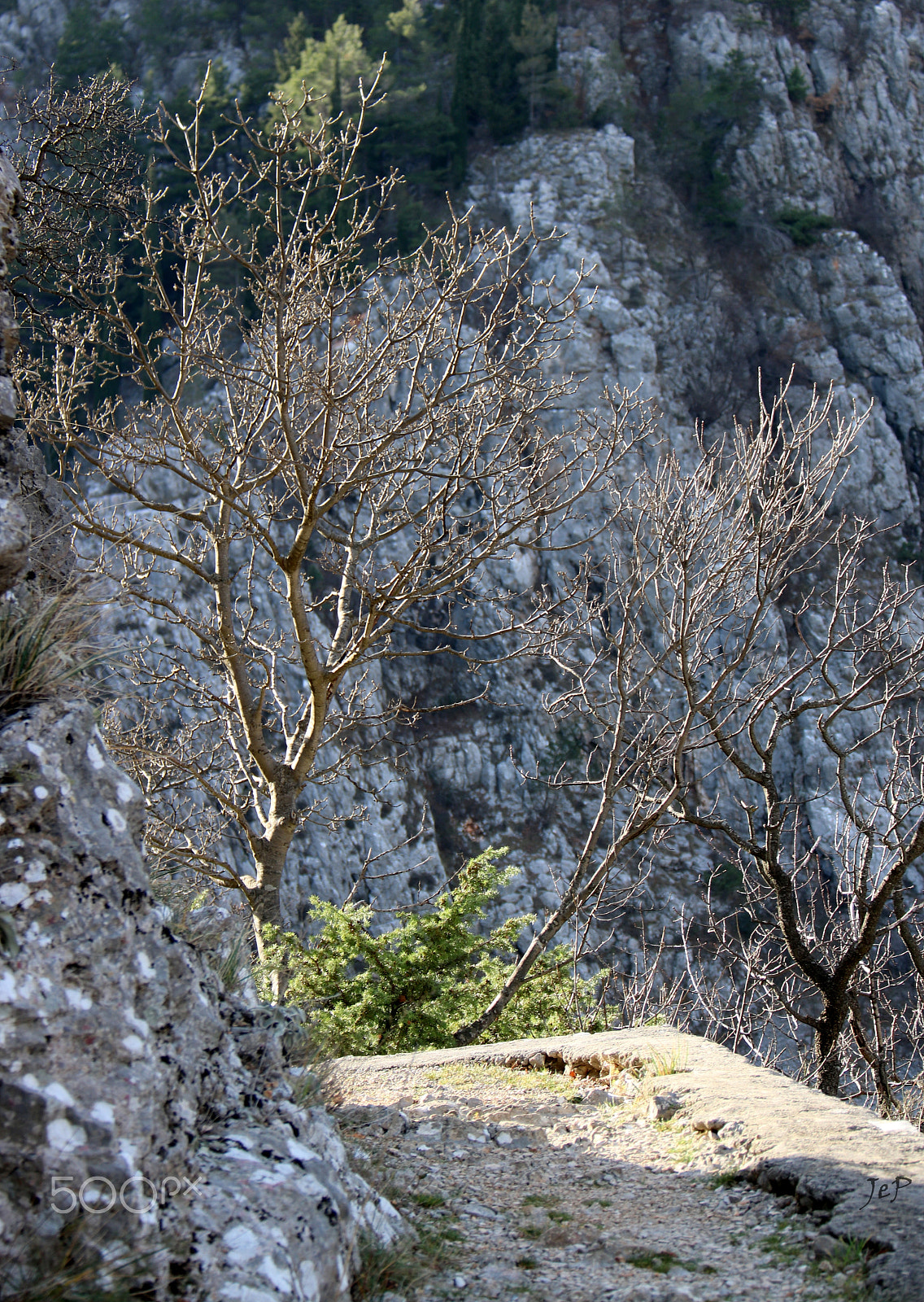 Canon EOS 760D (EOS Rebel T6s / EOS 8000D) sample photo. Winter walk by the blue lake (imotski, croatia) photography