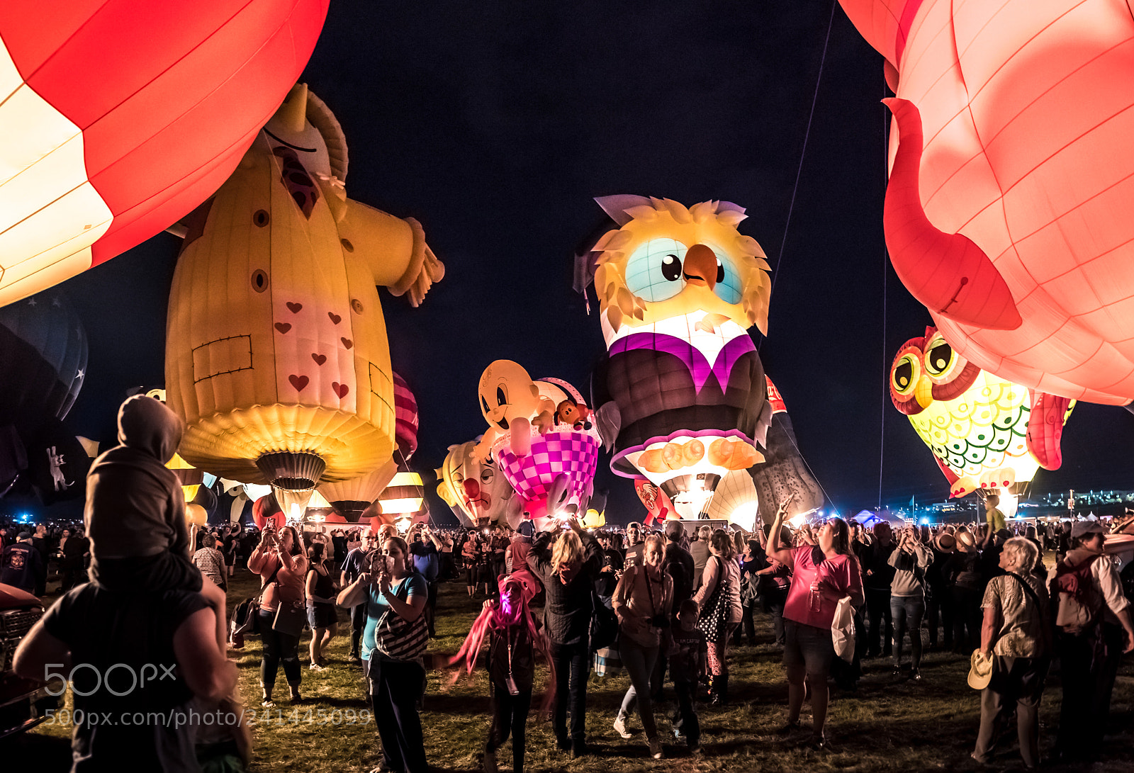 Nikon D810 sample photo. Owl balloon at the photography