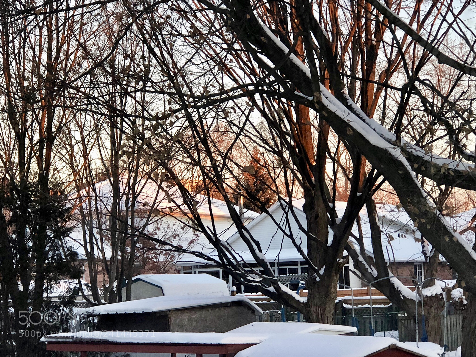 Apple iPhone 8 Plus sample photo. Frozen! photography