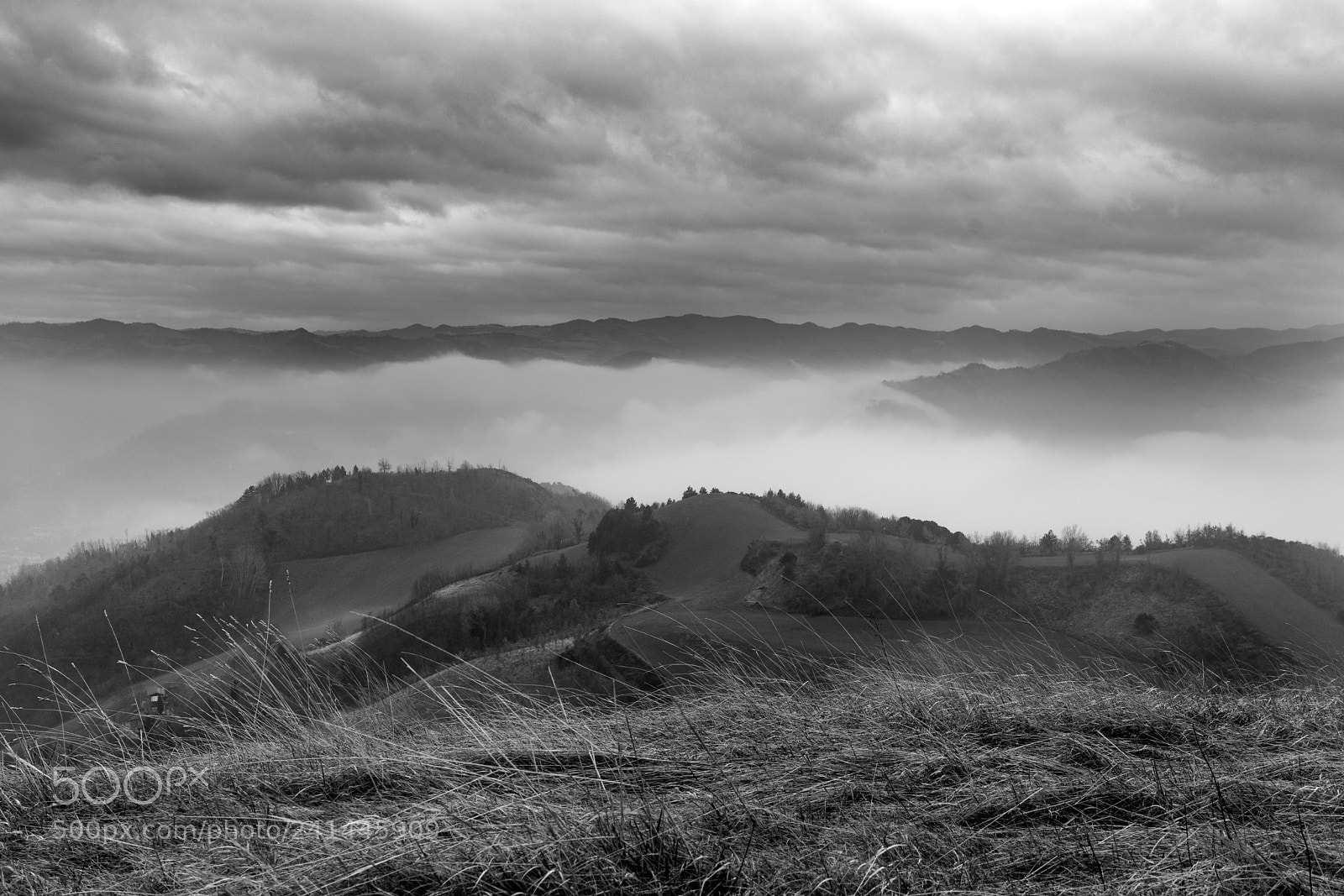 Sony a7 sample photo. Fog fog fog..   photography