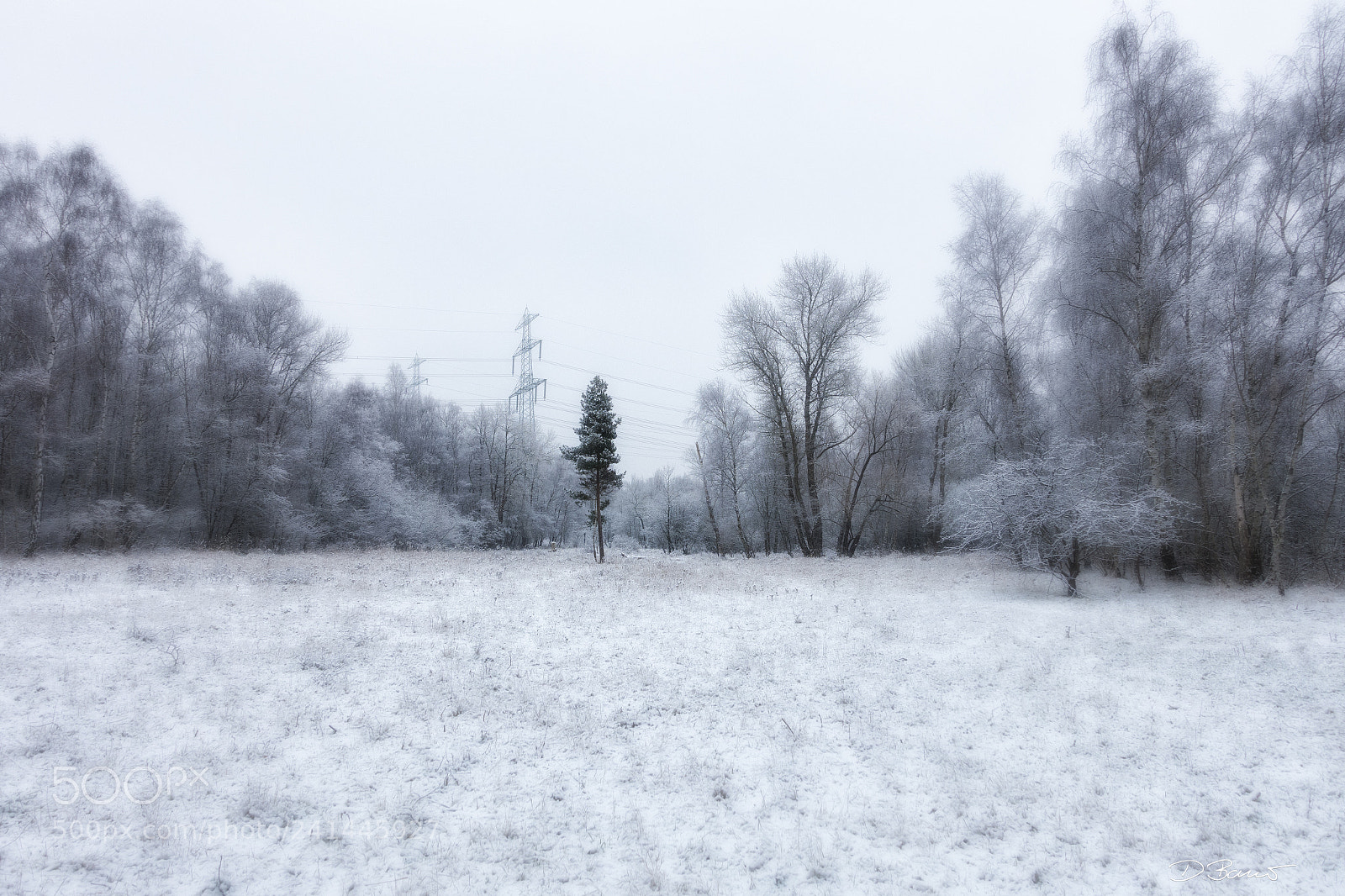Sony Cyber-shot DSC-RX100 III sample photo. Waiting for winter photography
