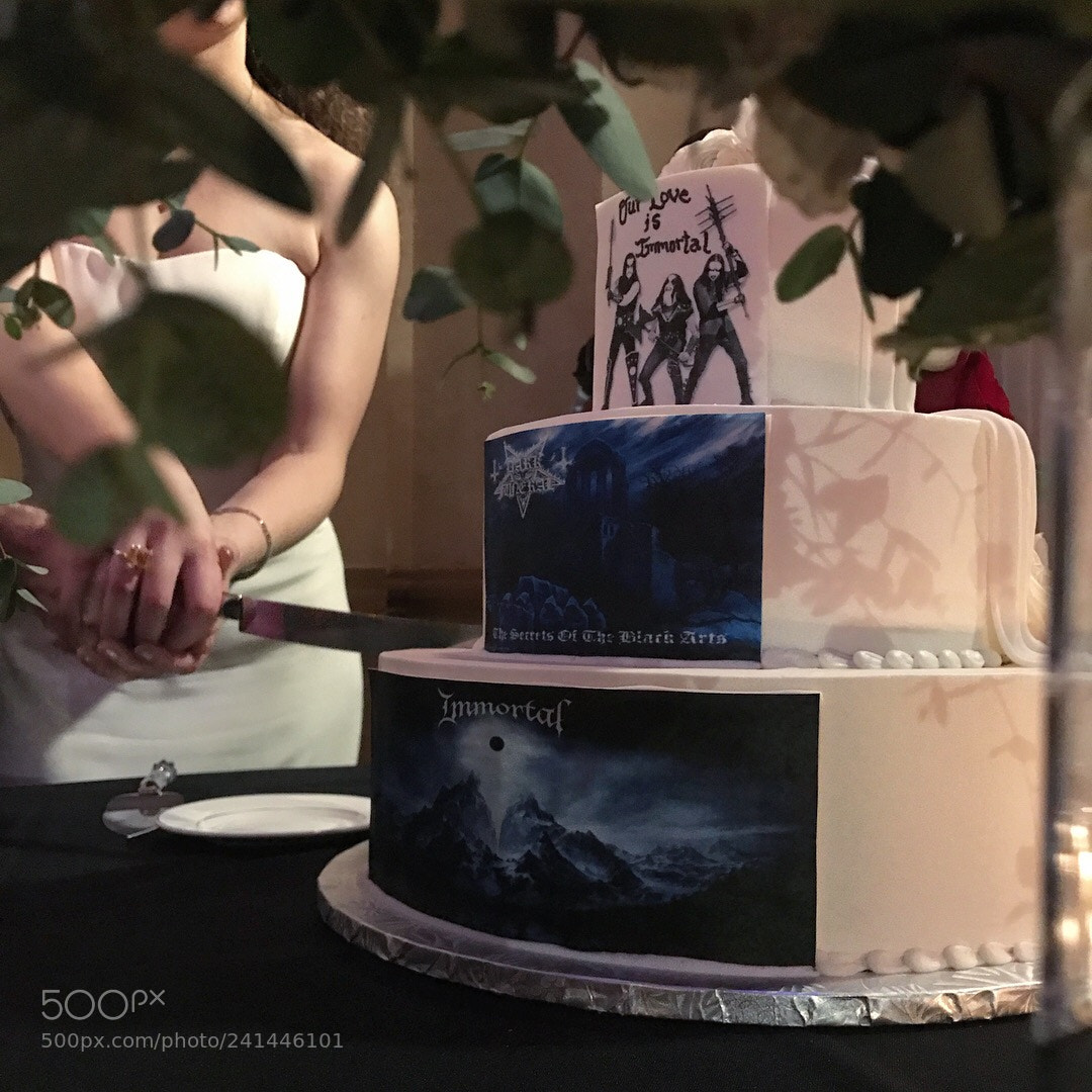 Apple iPhone 7 sample photo. Peek-a-boo cake photography