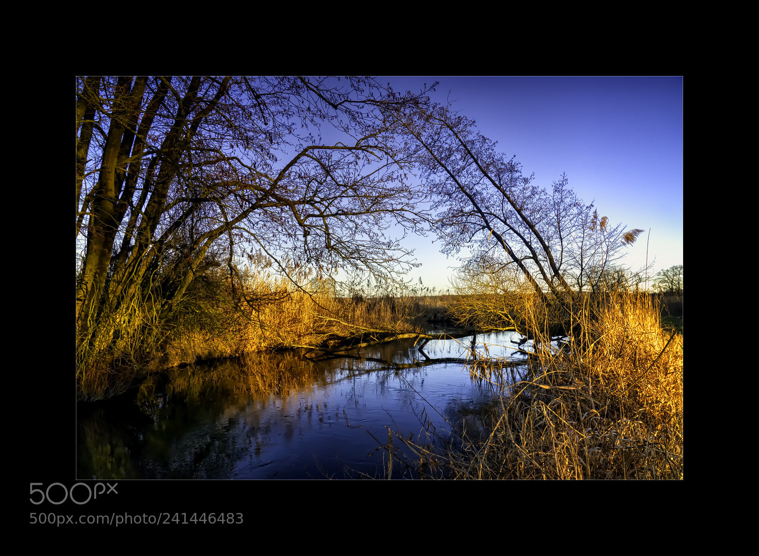 Sony Alpha NEX-6 sample photo. An der abens photography