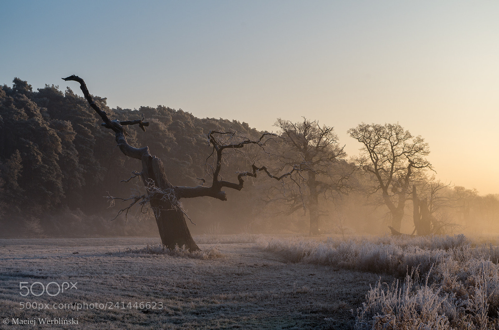 Pentax K-50 sample photo. Early morning photography