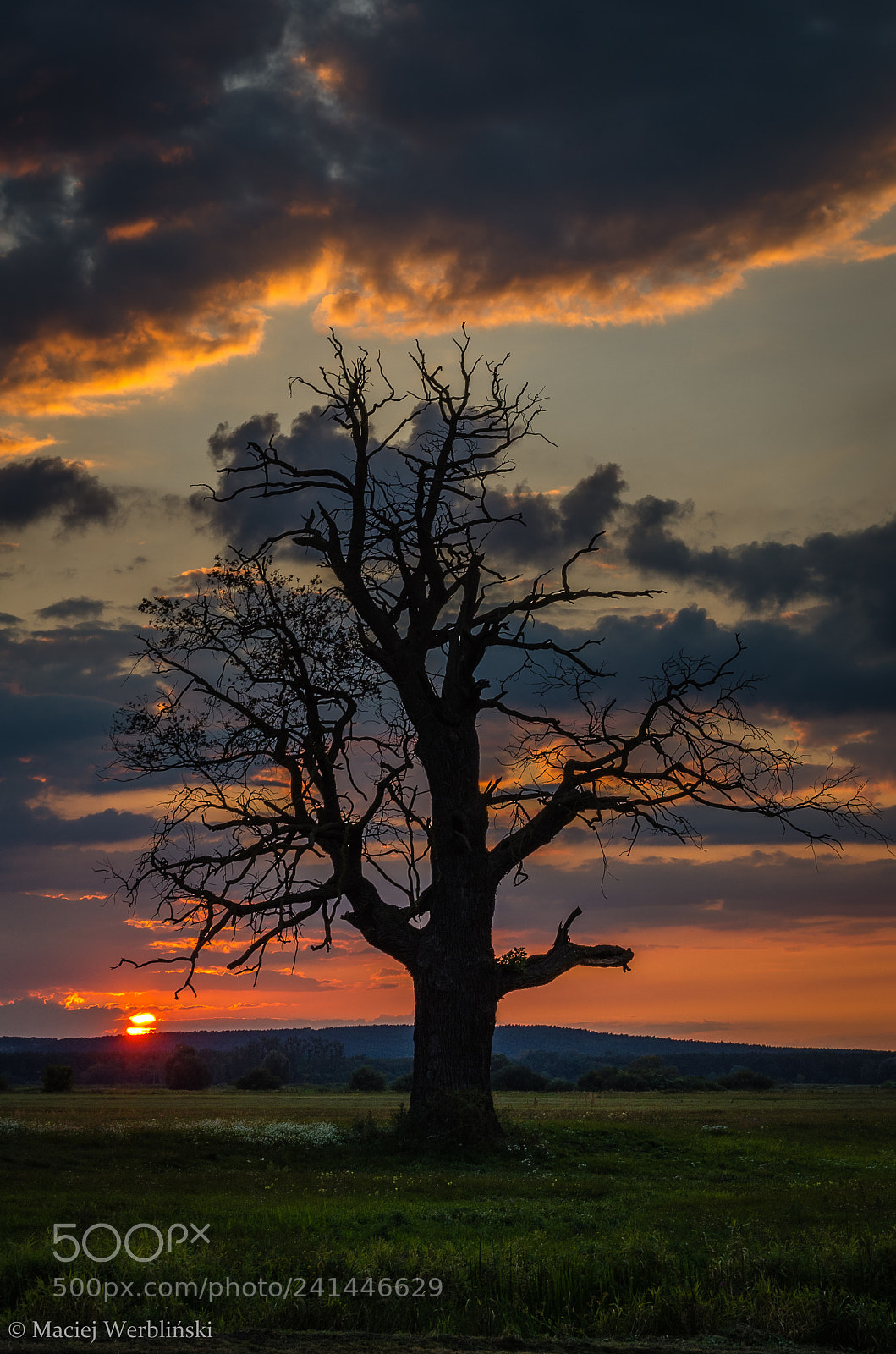 Pentax K-50 sample photo. Magical sunset photography
