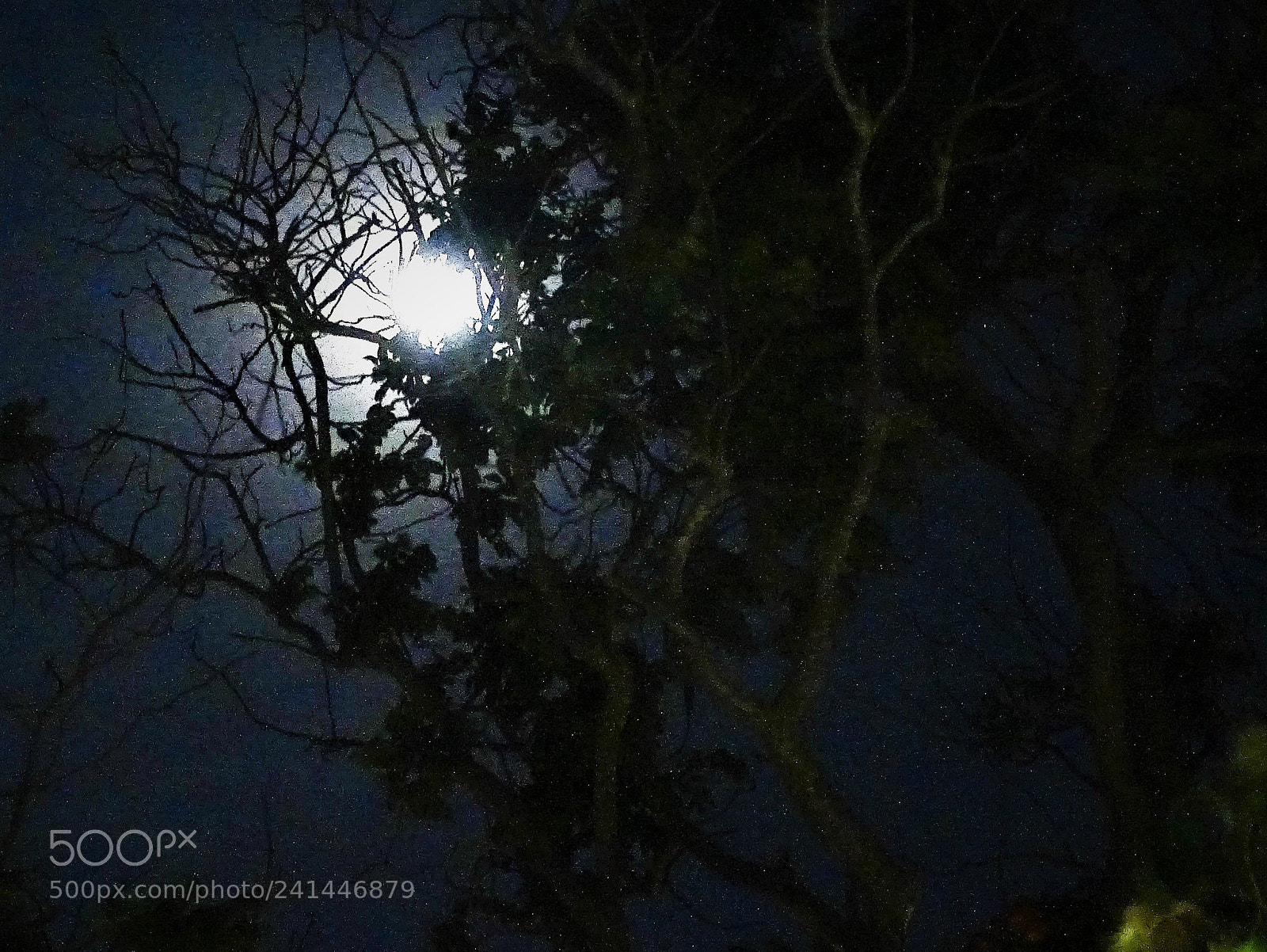 Sony Cyber-shot DSC-HX400V sample photo. The full moon photography