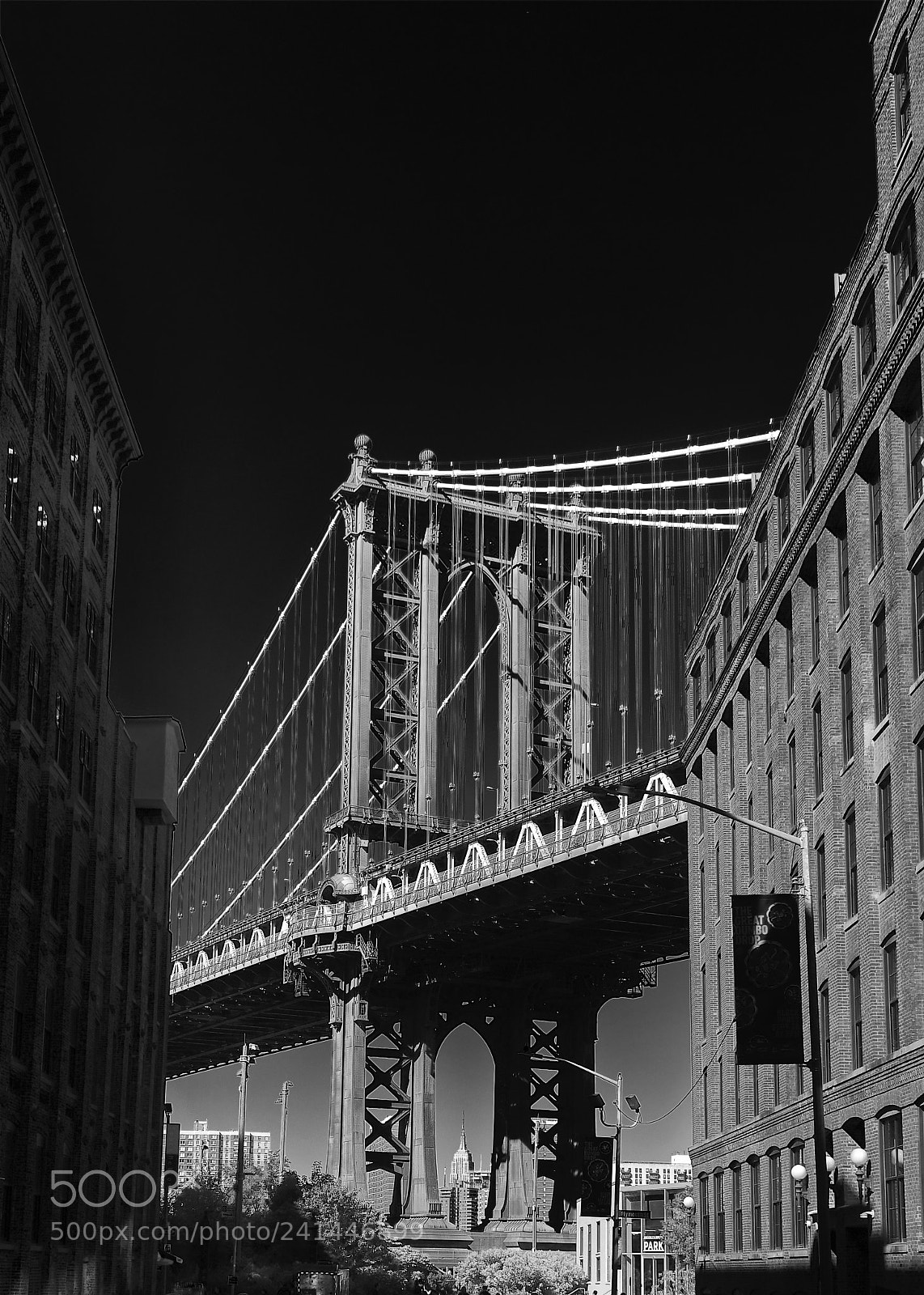 Nikon D850 sample photo. Brooklyn bridge at washington photography