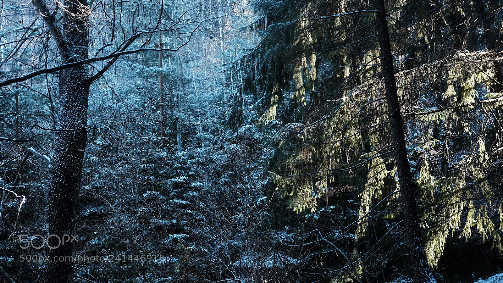 Fujifilm X-T1 sample photo. Global warming photography