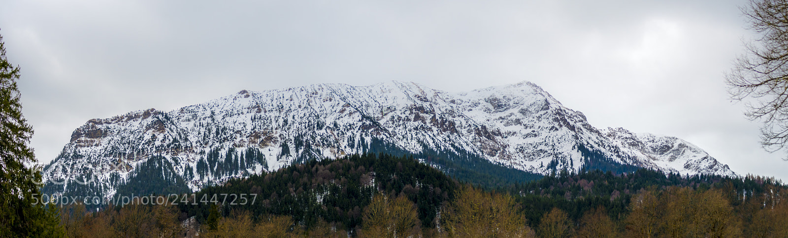 Nikon D800E sample photo. In the alps photography