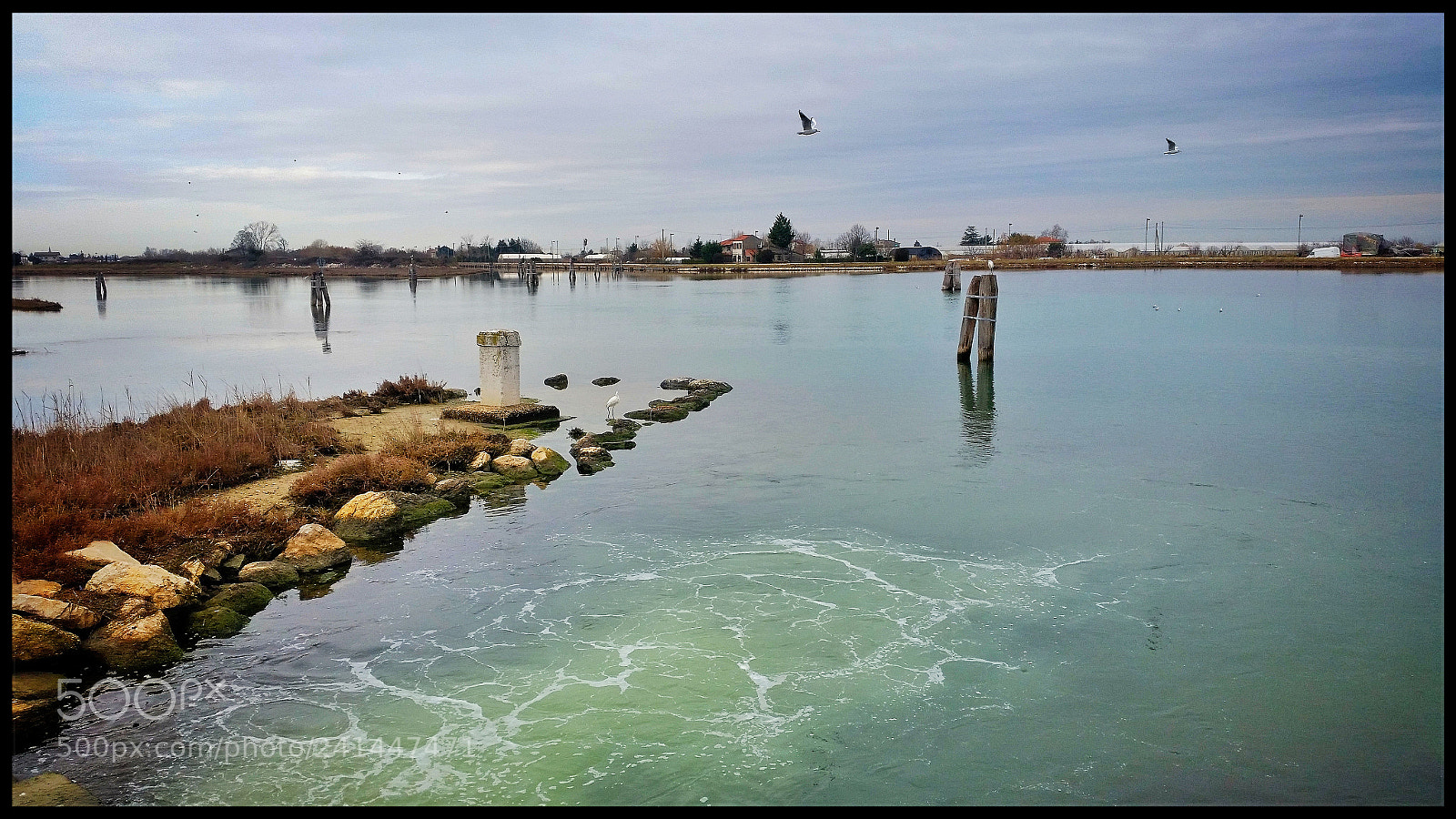 Samsung Galaxy S5 sample photo. Untitled photography