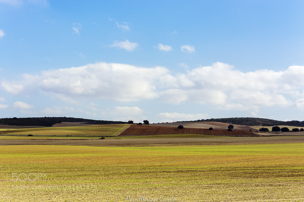 Nikon D7100 sample photo. Por la mancha de photography