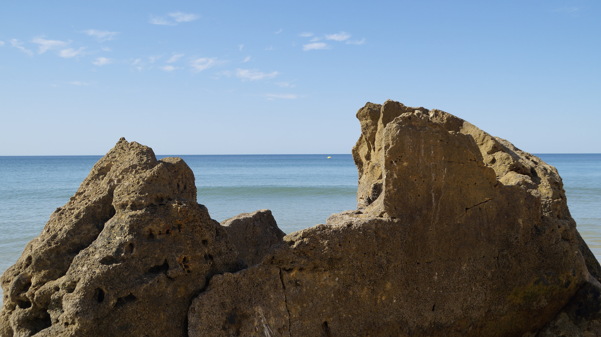 Sony DT 18-200mm F3.5-6.3 sample photo. Dsc photography