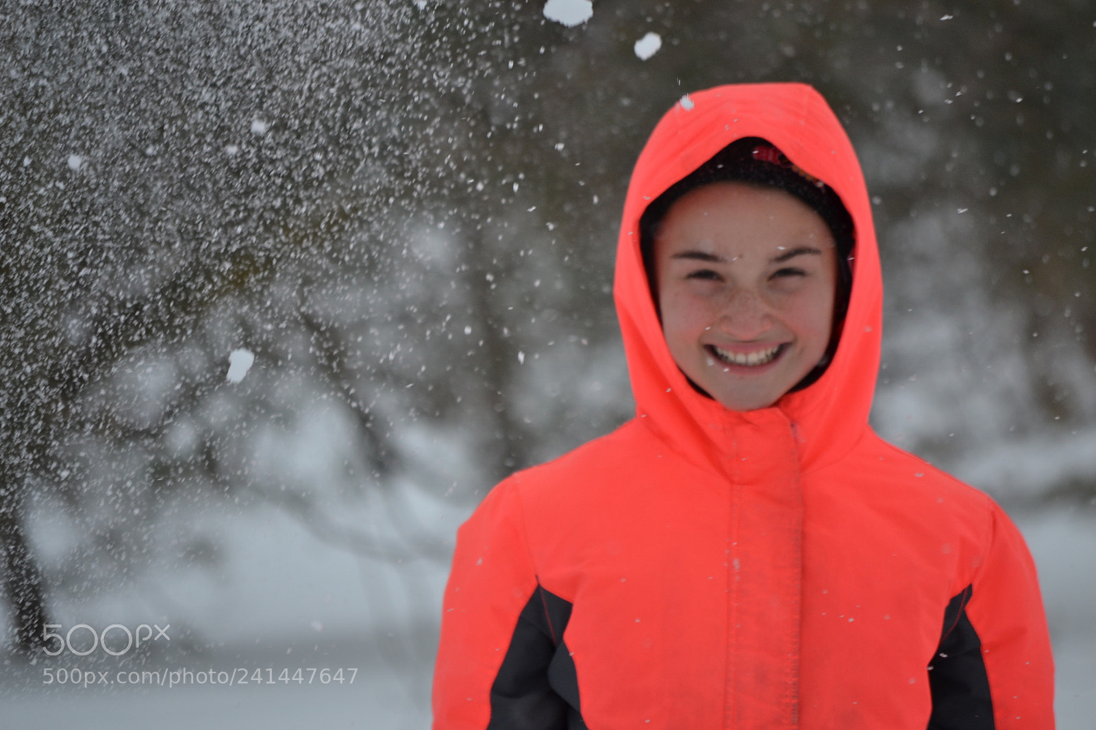 Nikon D3100 sample photo. Snowfall photography