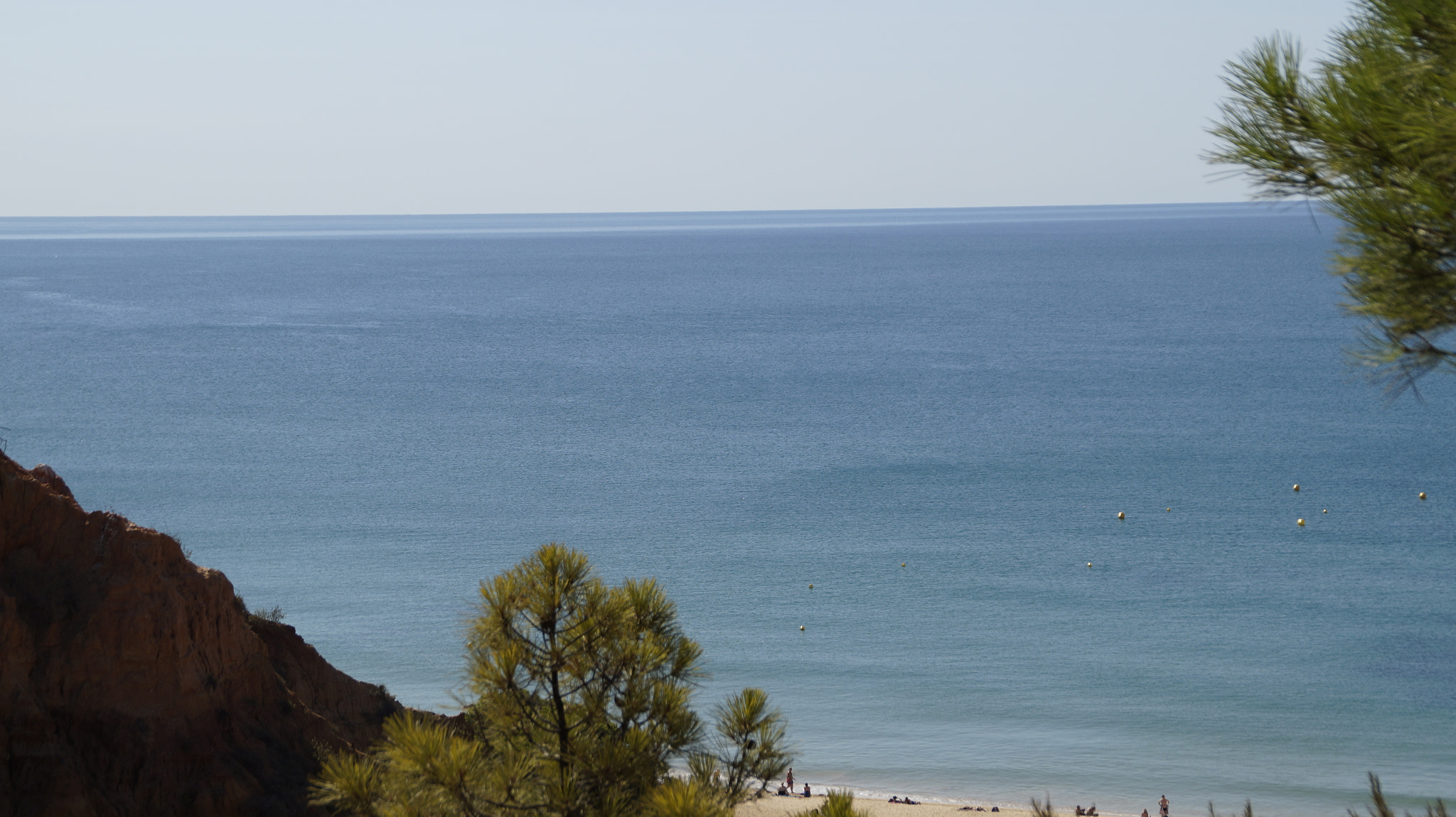 Sony DT 18-200mm F3.5-6.3 sample photo. Dsc photography