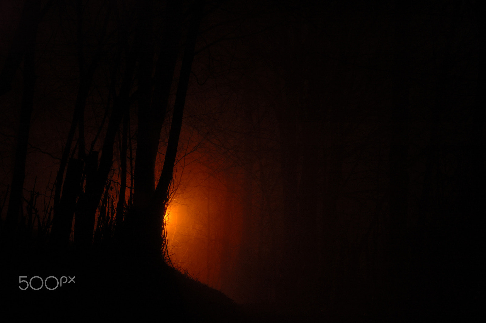Nikon D70 sample photo. Silent red hill photography