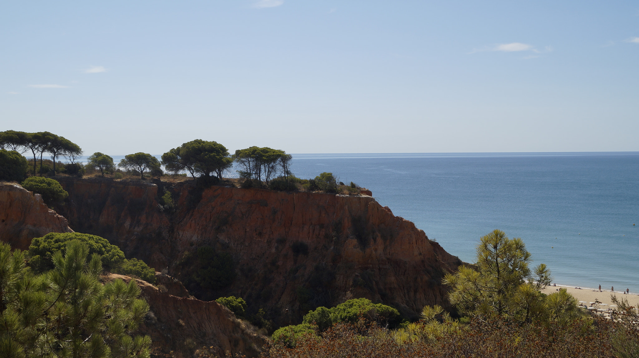 Sony DT 18-200mm F3.5-6.3 sample photo. Dsc photography