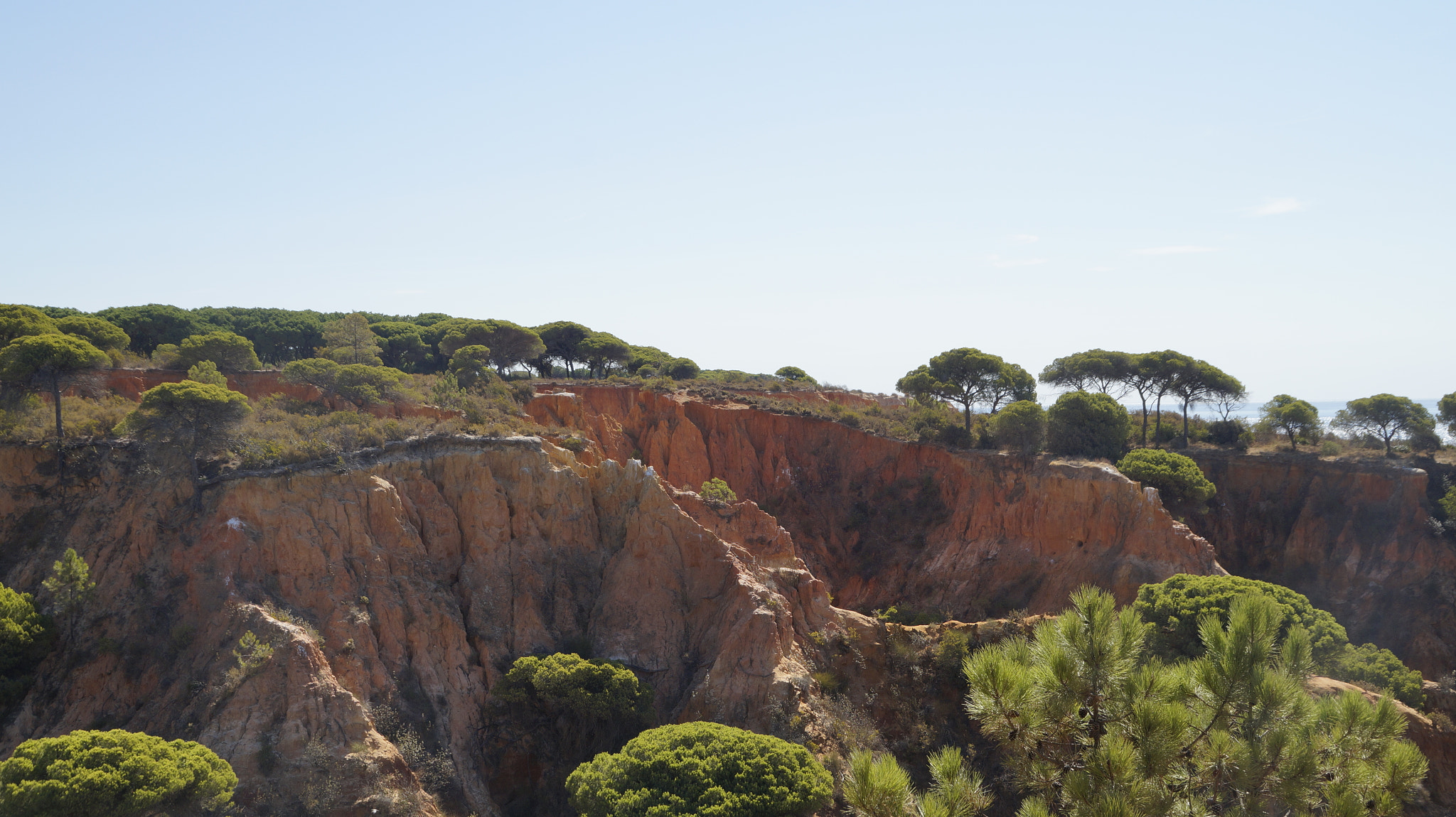 Sony DT 18-200mm F3.5-6.3 sample photo. Dsc photography