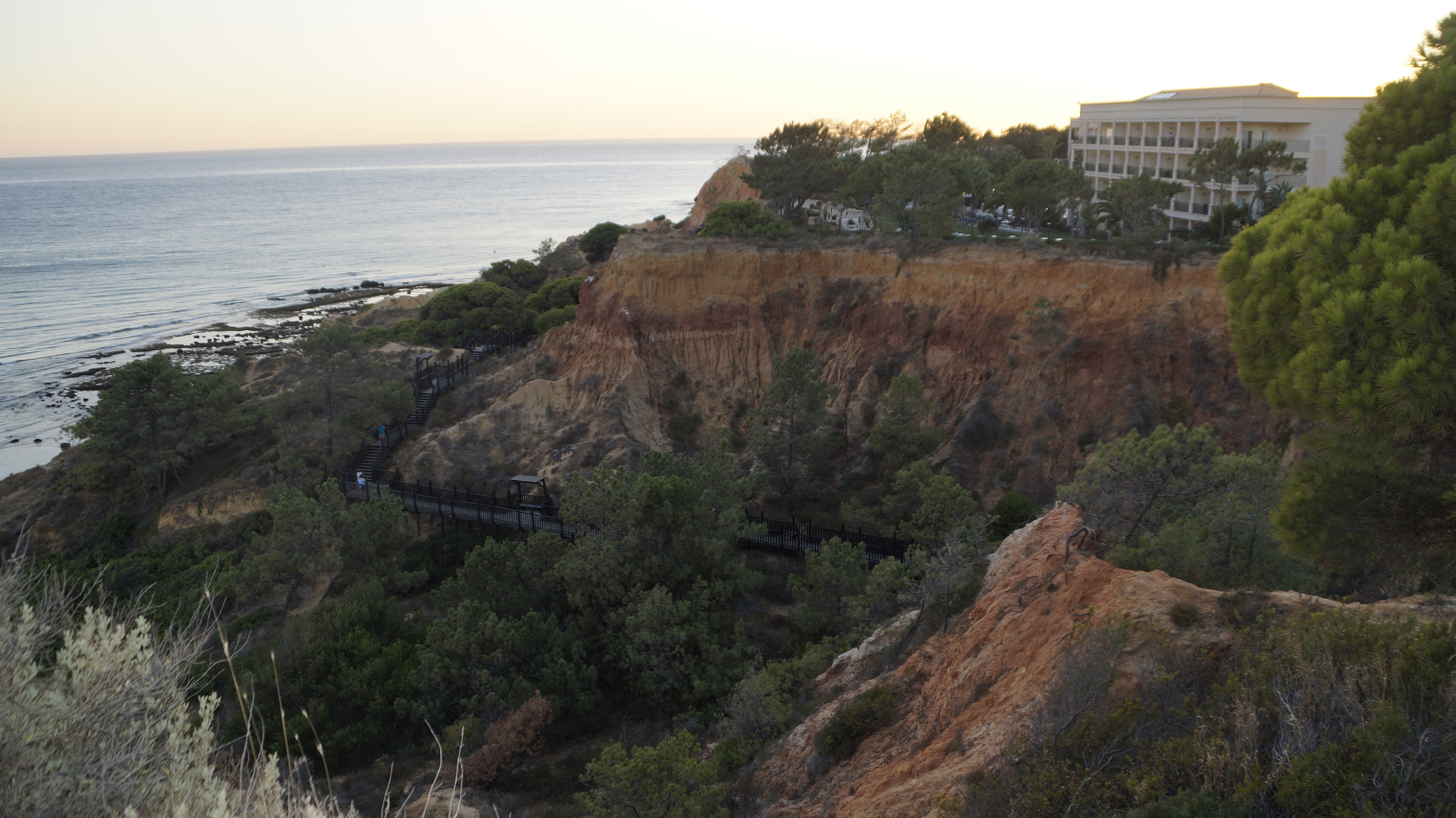 Sony DT 18-200mm F3.5-6.3 sample photo. Dsc photography
