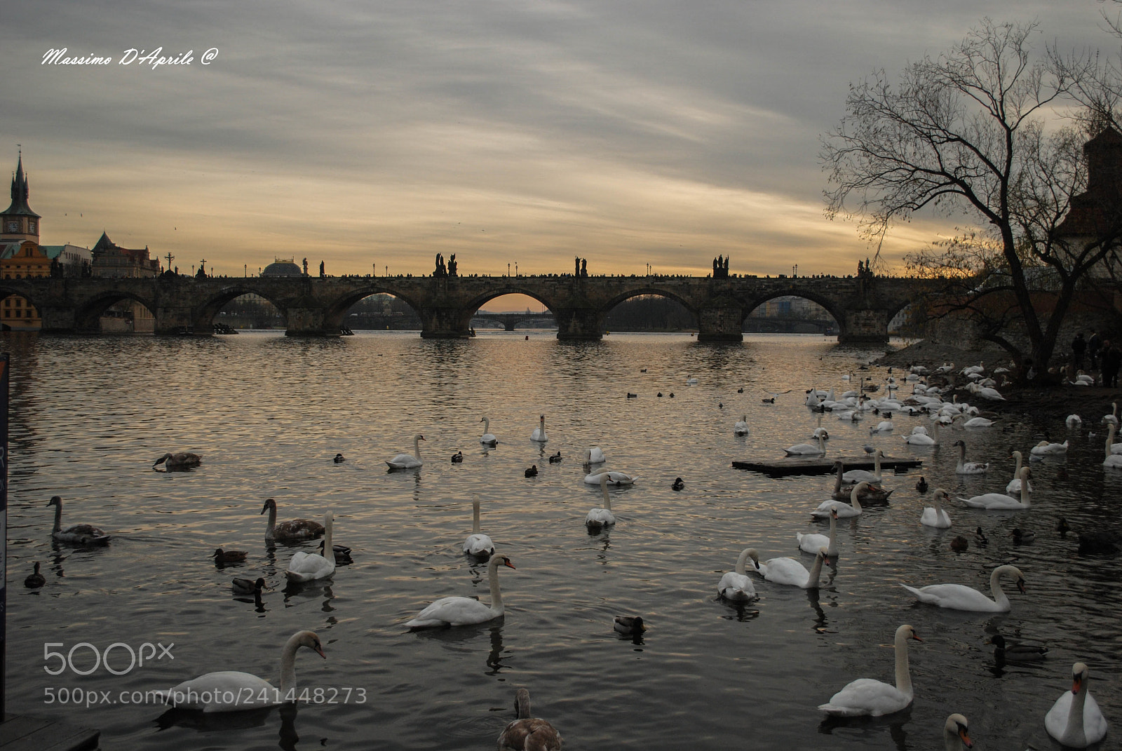Nikon D3000 sample photo. Praga photography