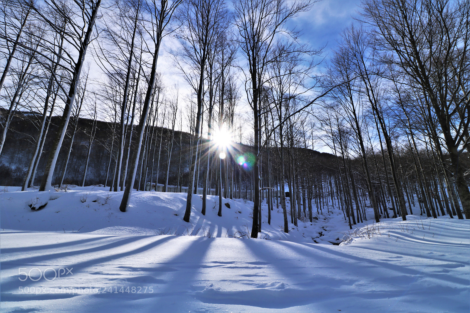 Canon EOS 760D (EOS Rebel T6s / EOS 8000D) sample photo. Prato spilla photography