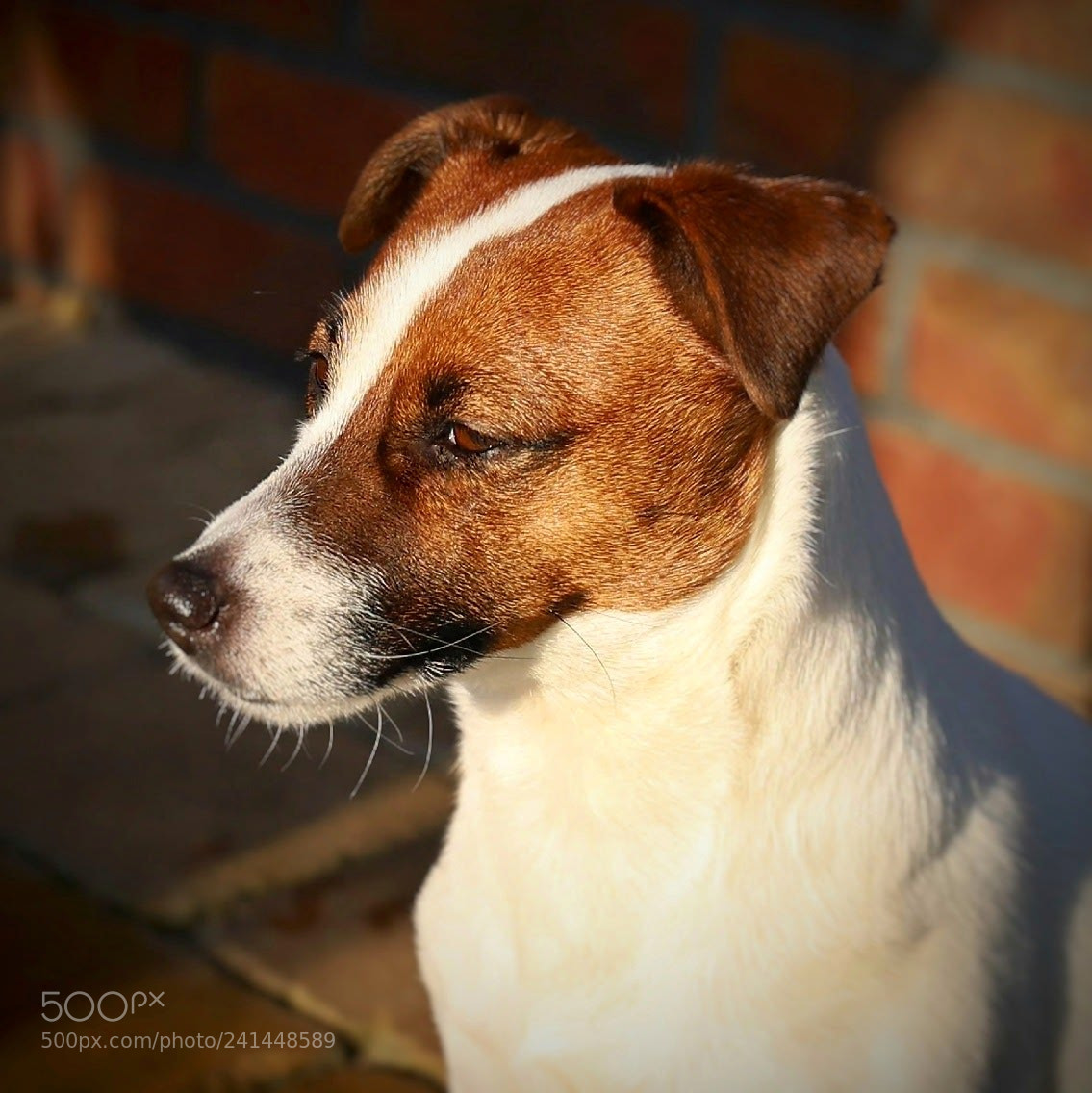 Canon EOS 6D Mark II sample photo. Verona photography