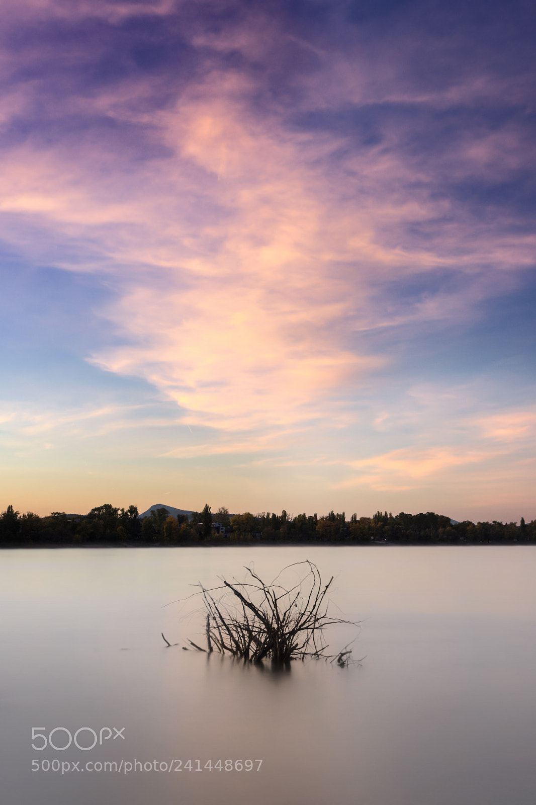 Sony a7 II sample photo. Driftwood in danube photography