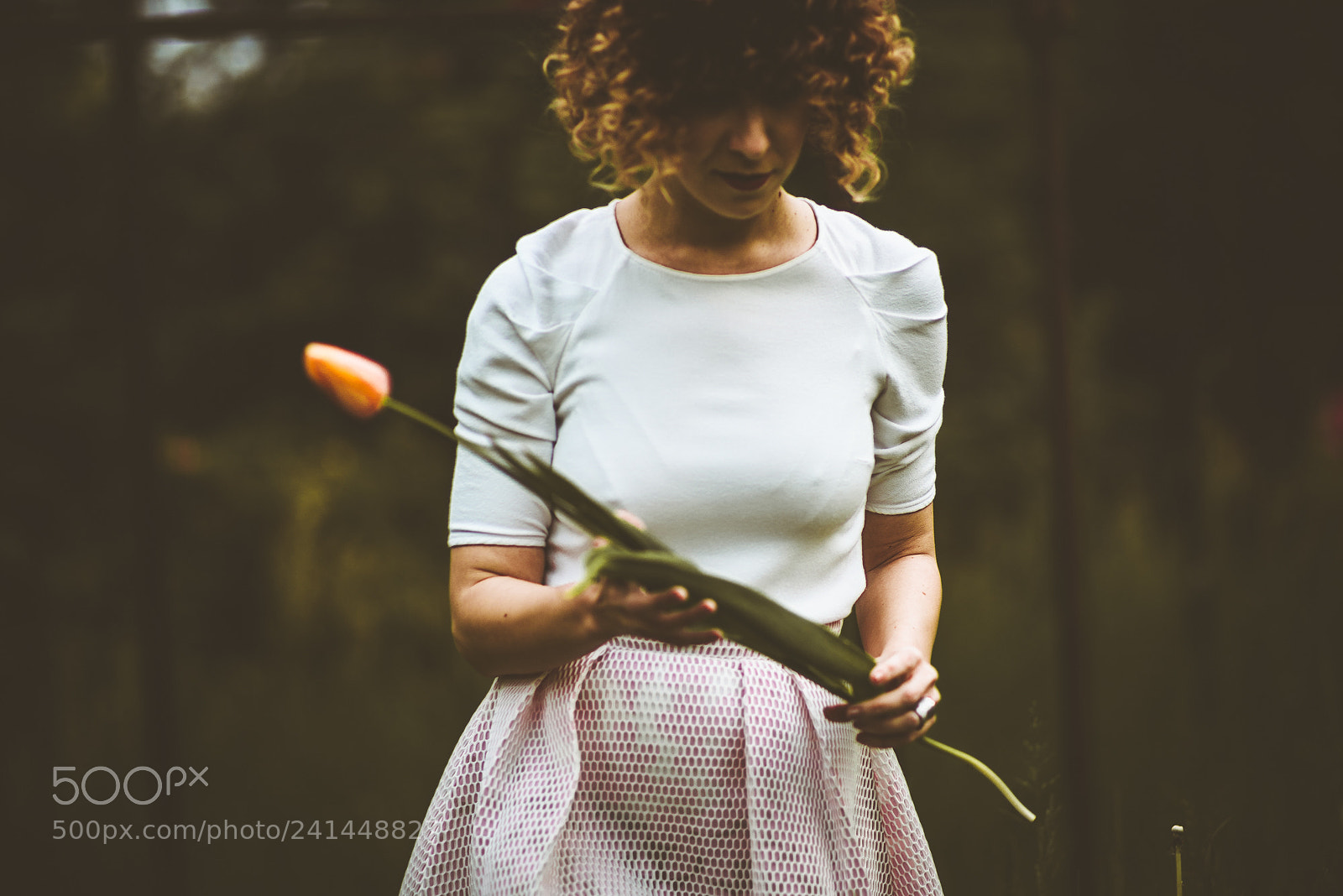 Nikon D810 sample photo. Countryside photography