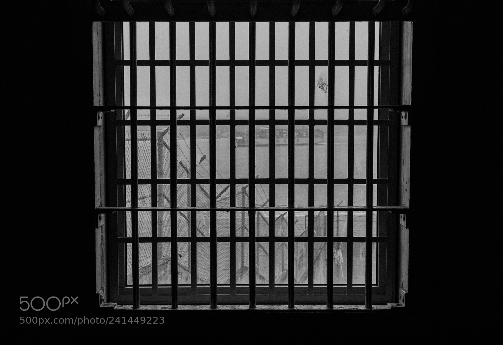 Canon EOS 80D sample photo. Imprisoned. photography