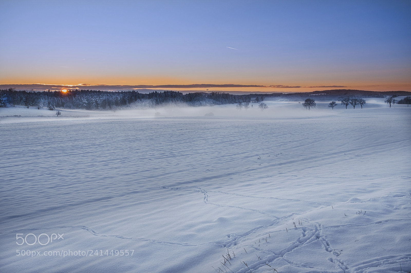 Canon EOS 6D Mark II sample photo. The frosty evning photography