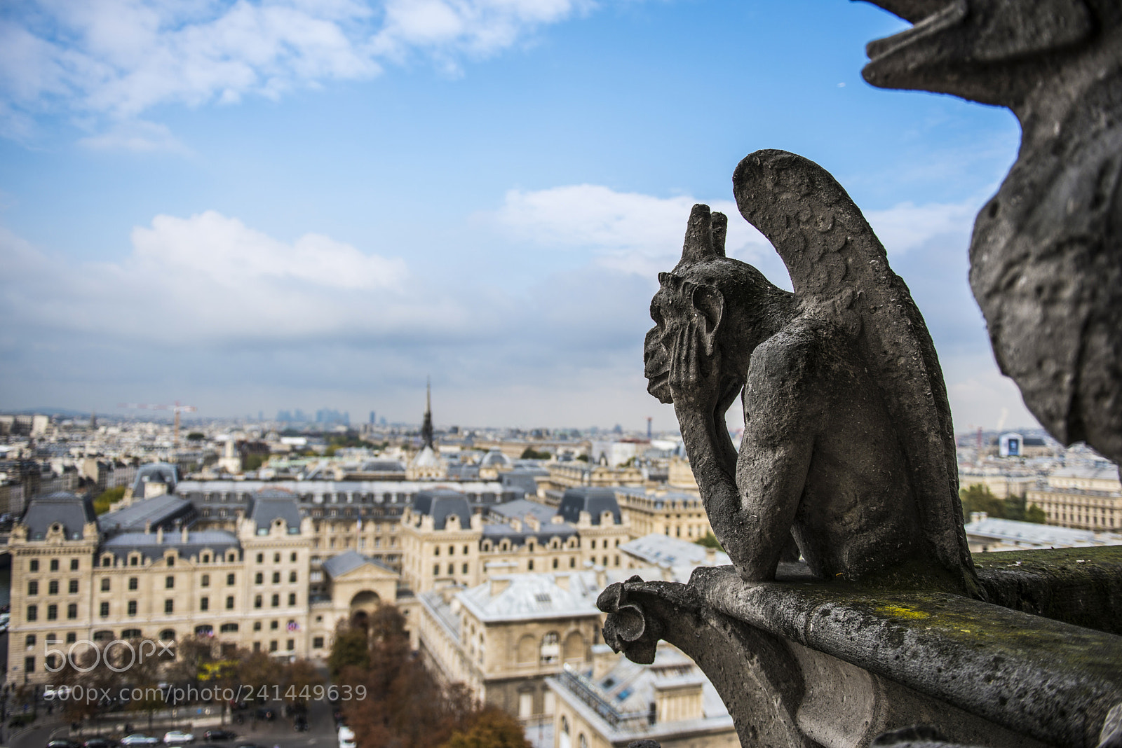 Nikon D800 sample photo. Gargoyle in paris photography