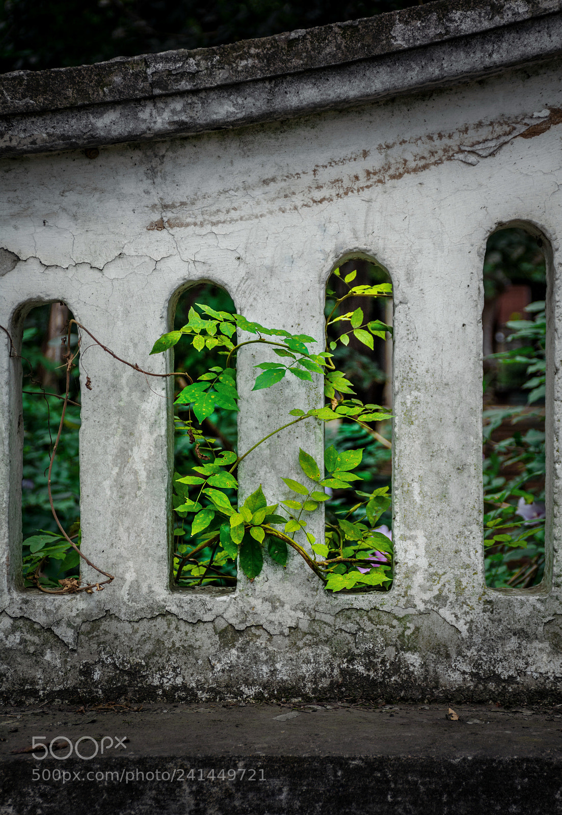 Nikon D7100 sample photo. Wrapped around life photography