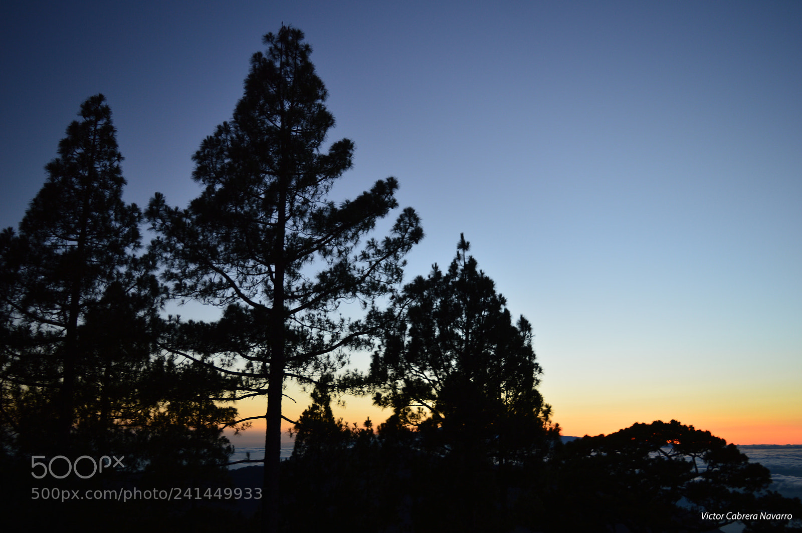 Nikon D3200 sample photo. Pinos de galdar photography