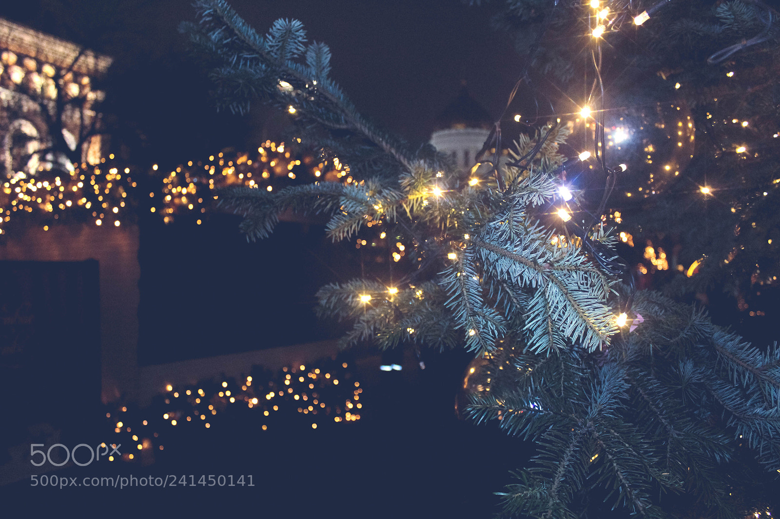 Canon EOS 1200D (EOS Rebel T5 / EOS Kiss X70 / EOS Hi) sample photo. Christmas decoration photography