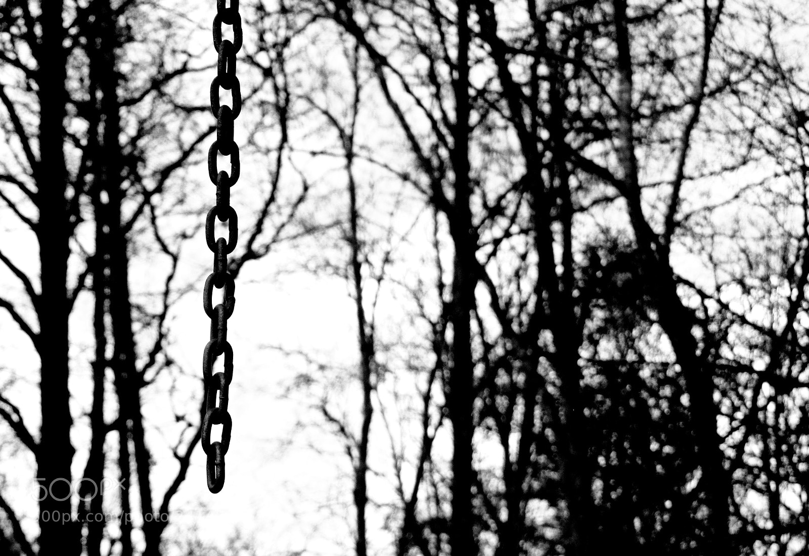 Canon PowerShot SX220 HS sample photo. Chain photography