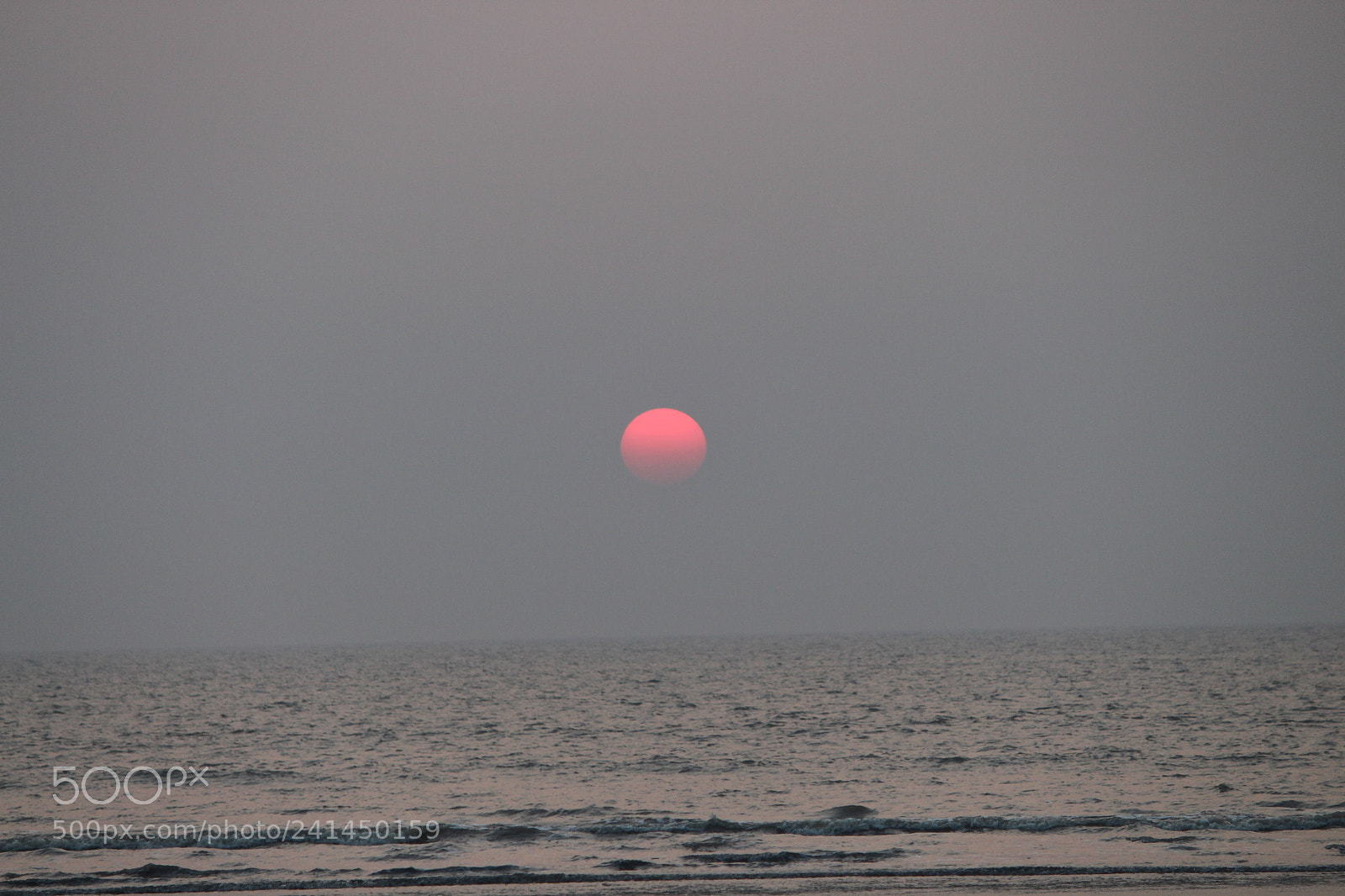 Canon EF-S 55-250mm F4-5.6 IS II sample photo. Untitled photography