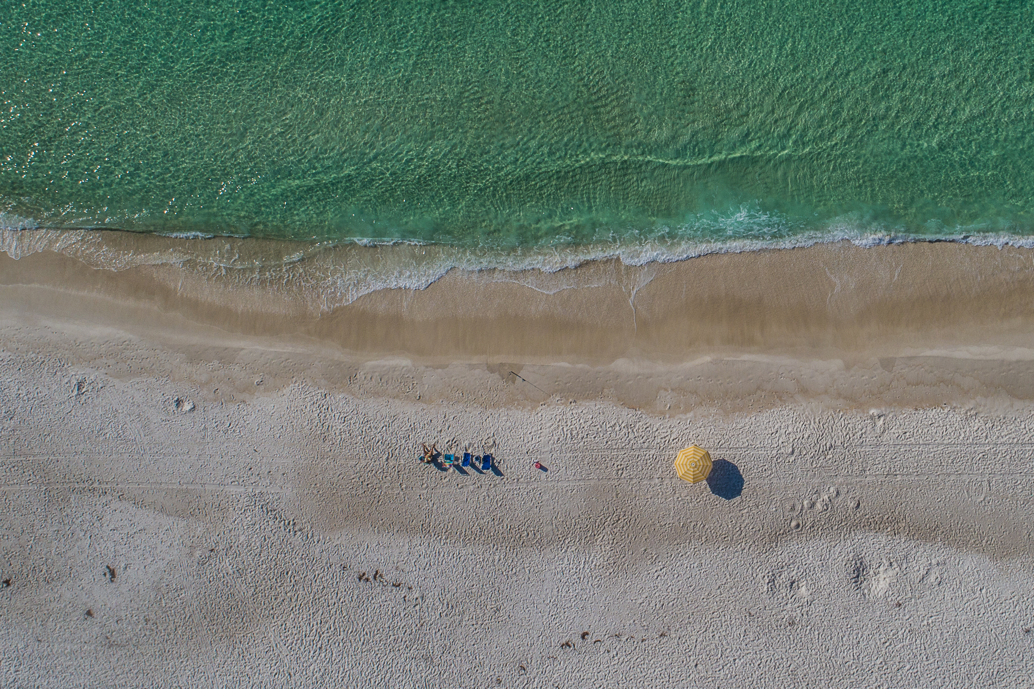 Lone Umbrella